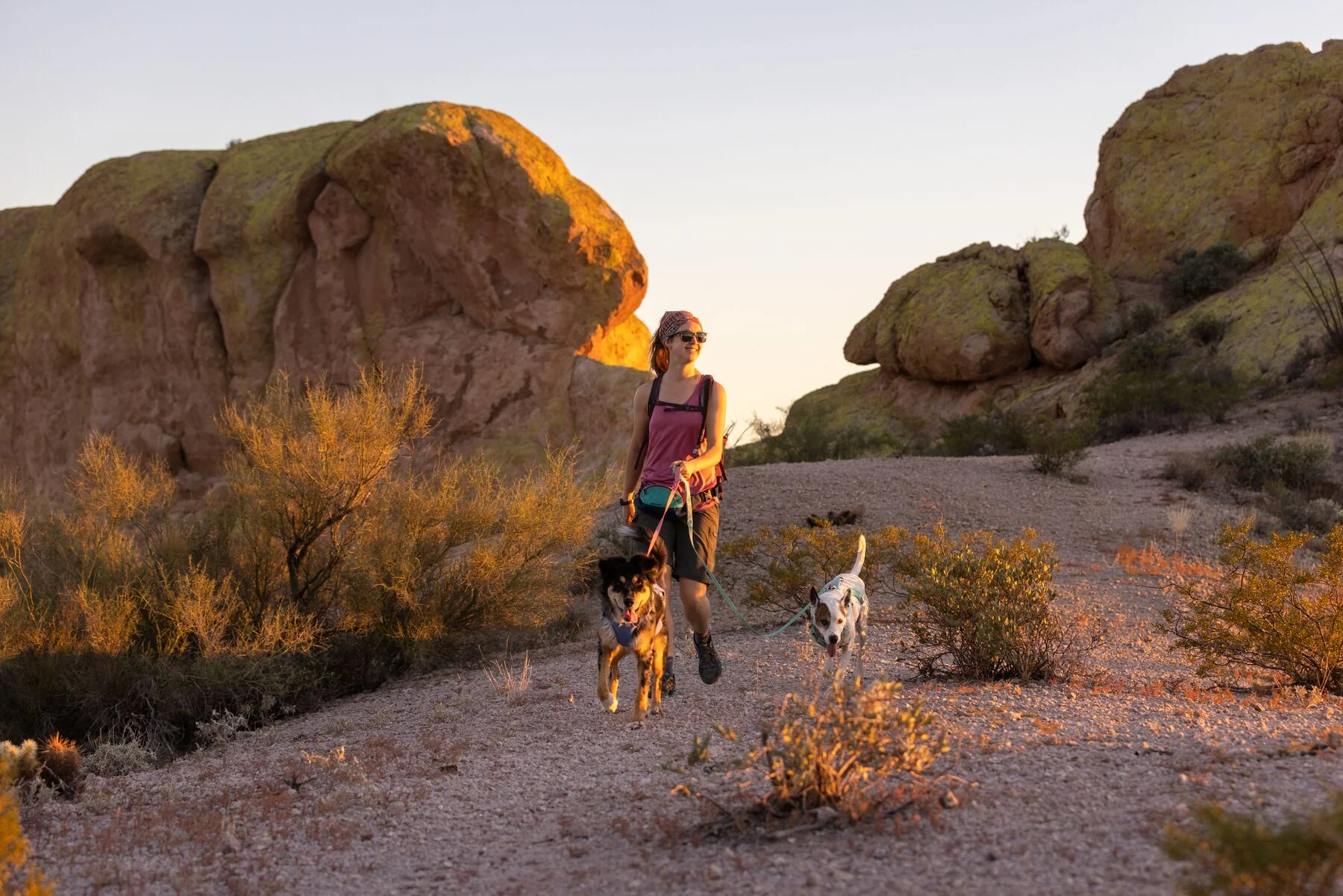 Imagen del producto 58