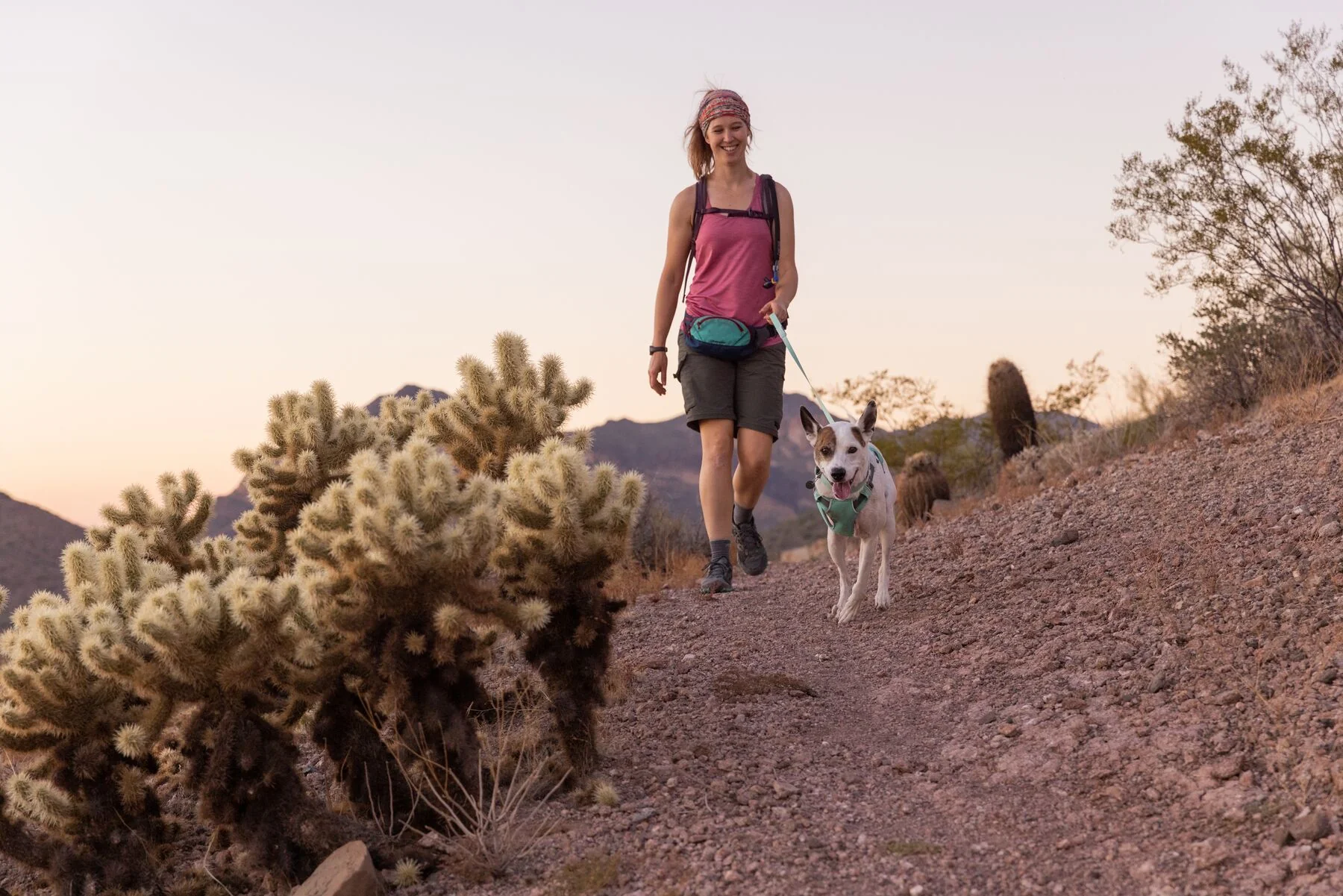 Imagen del producto 62