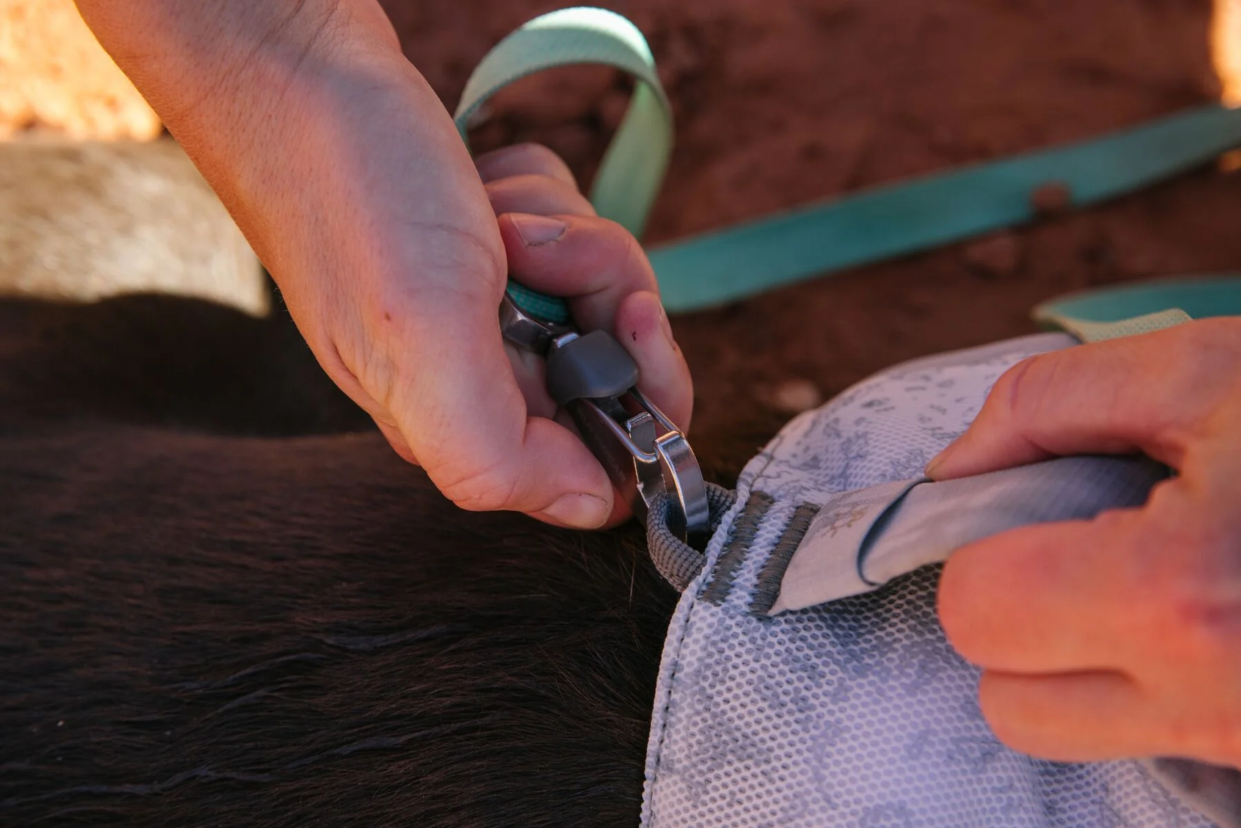 Imagen del producto 19