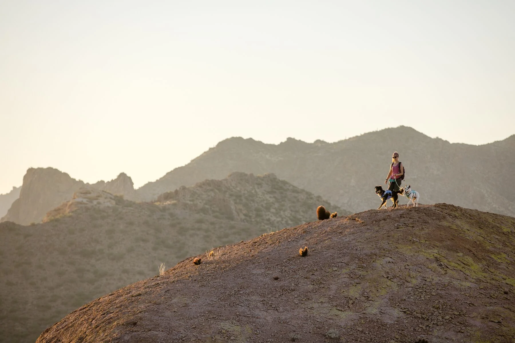 Imagen del producto 33