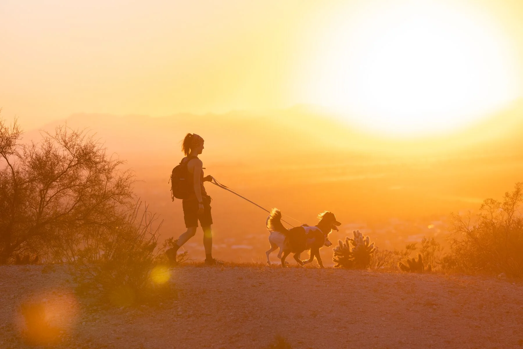 Imagen del producto 37