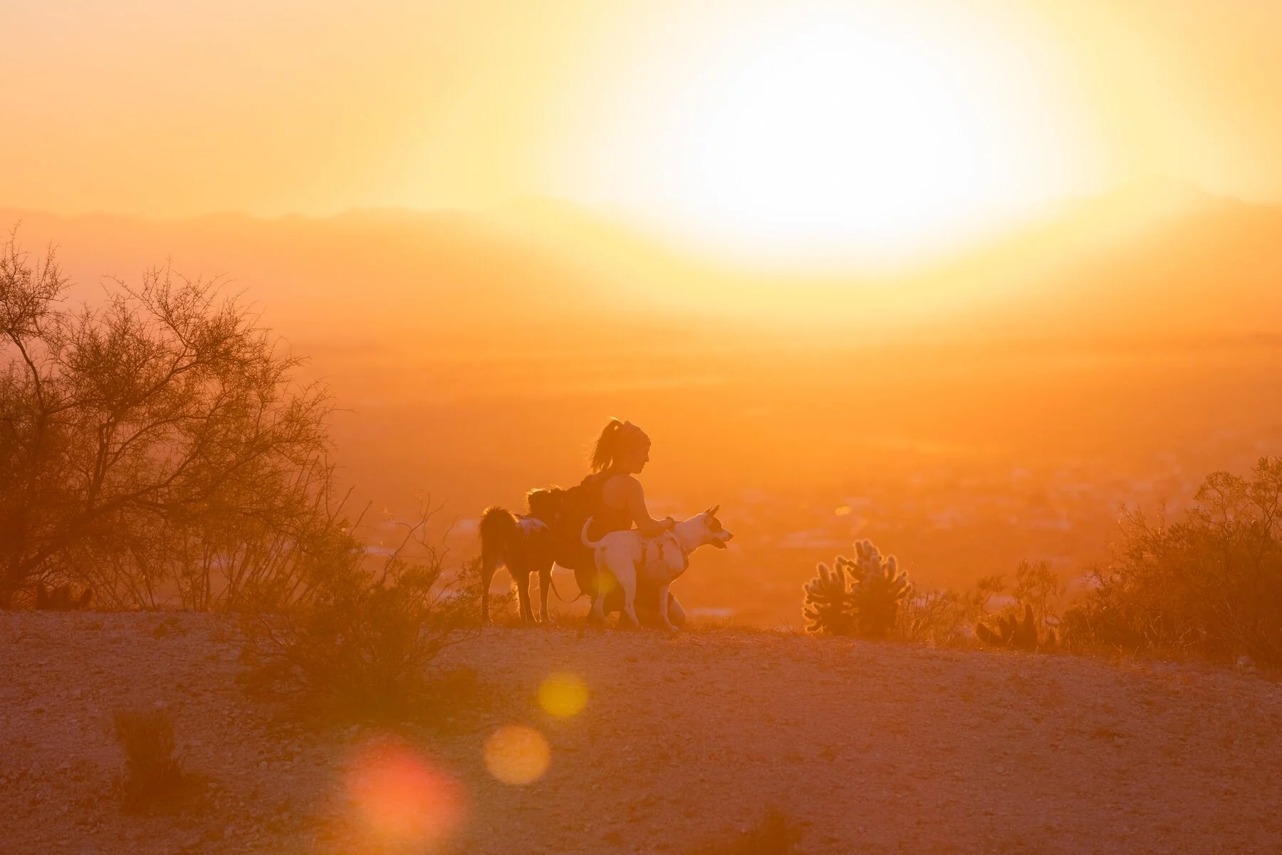 Imagen del producto 38