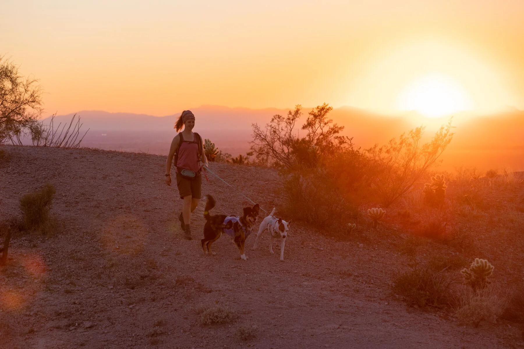 Imagen del producto 39