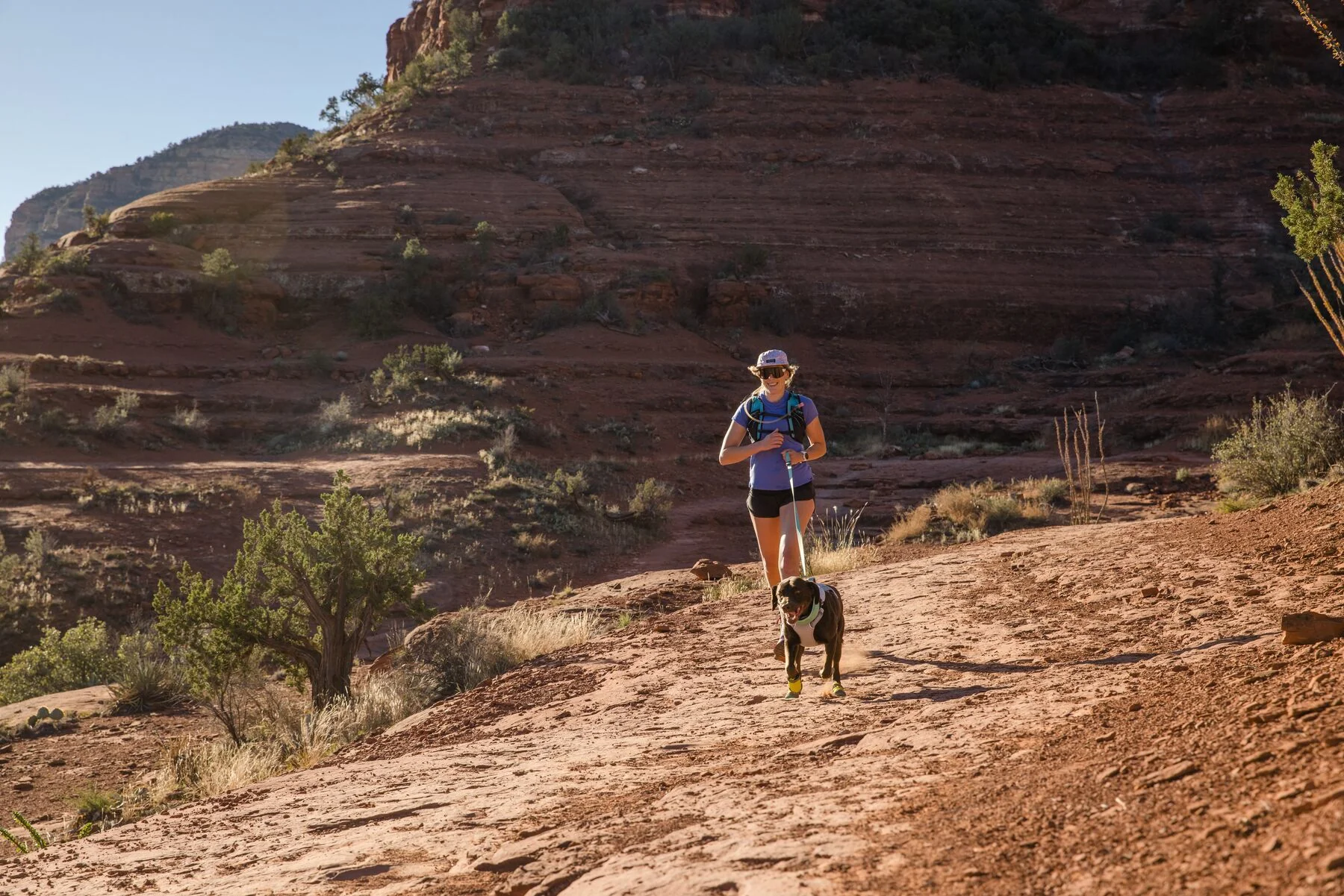 Imagen del producto 44