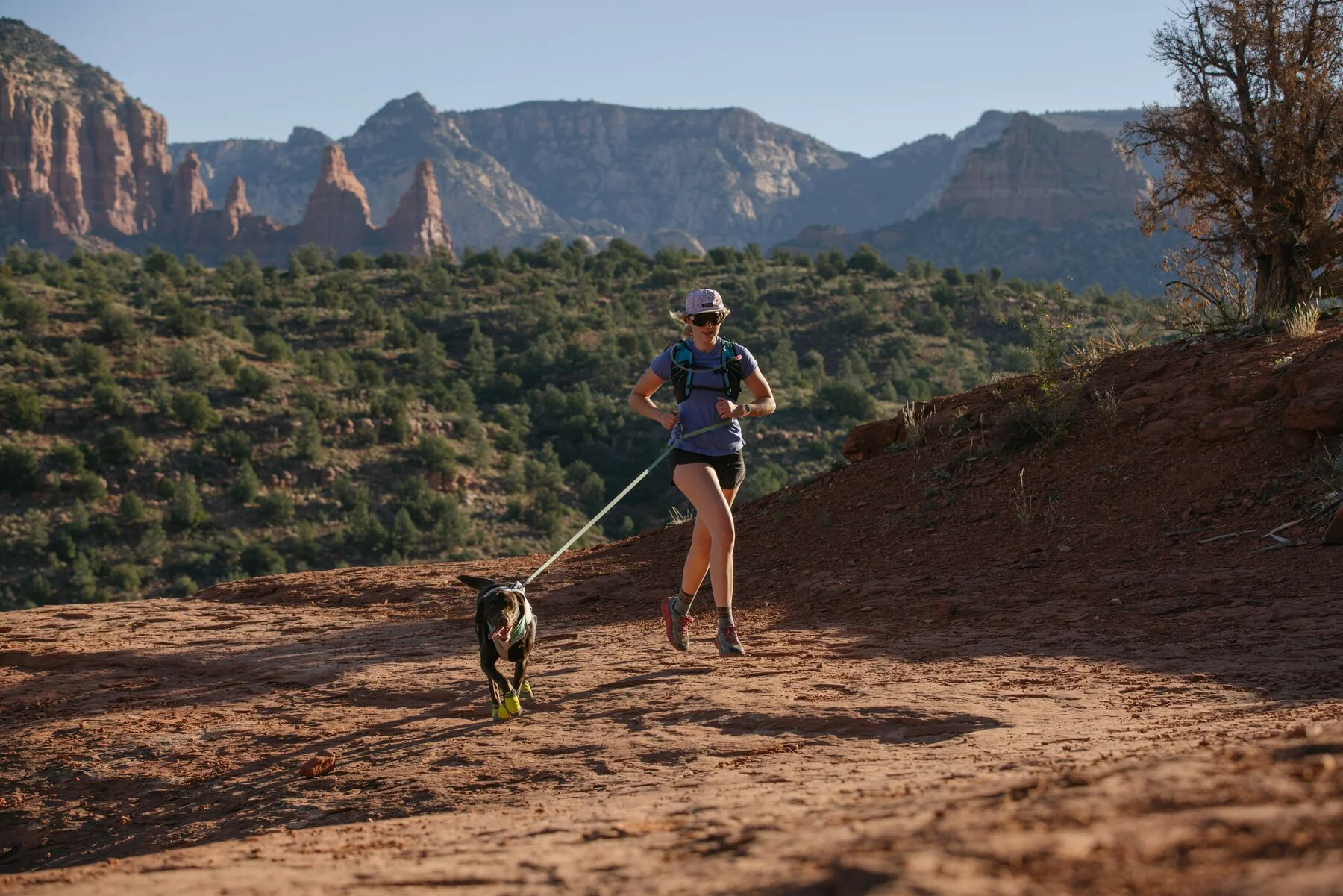 Imagen del producto 47