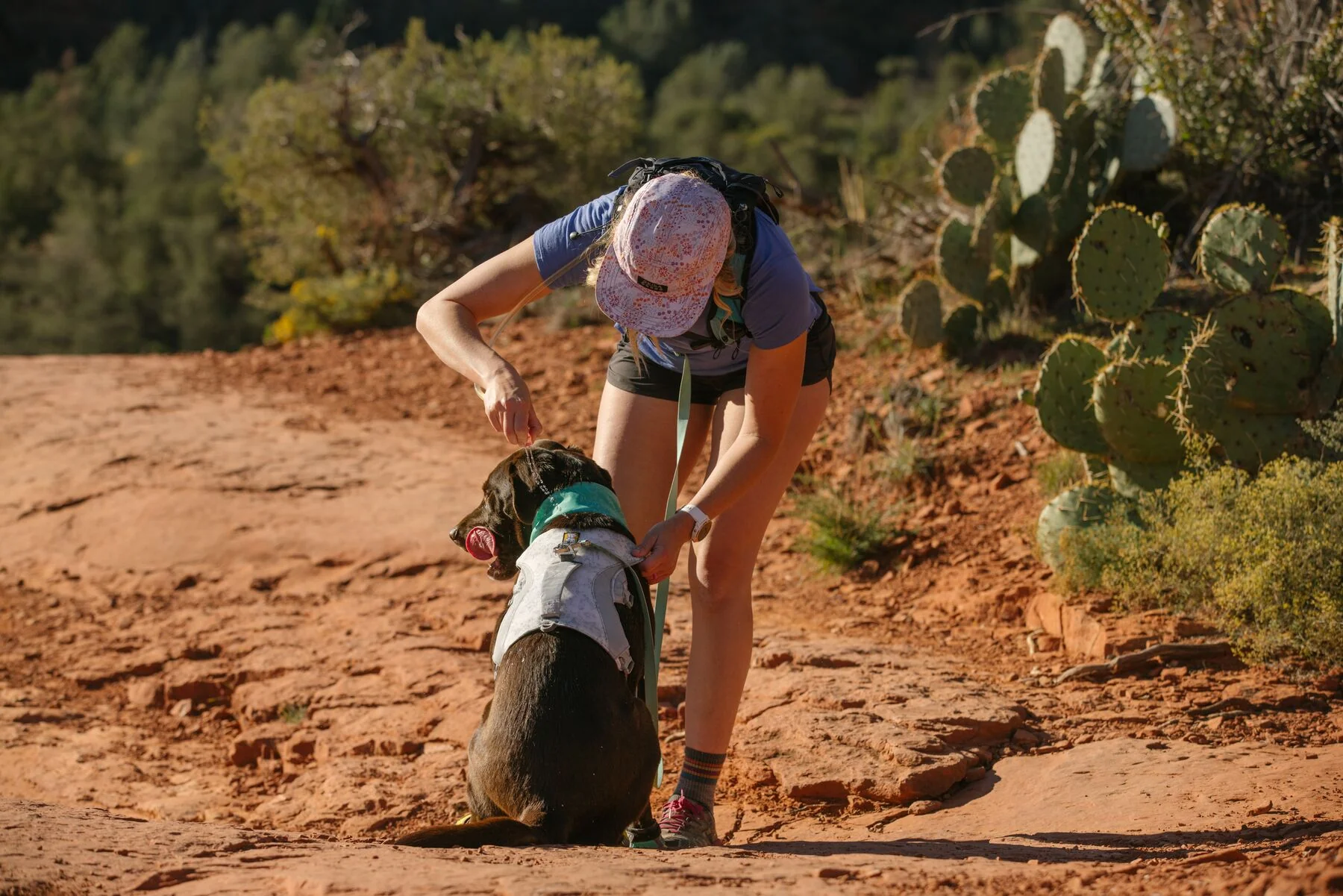 Imagen del producto 50