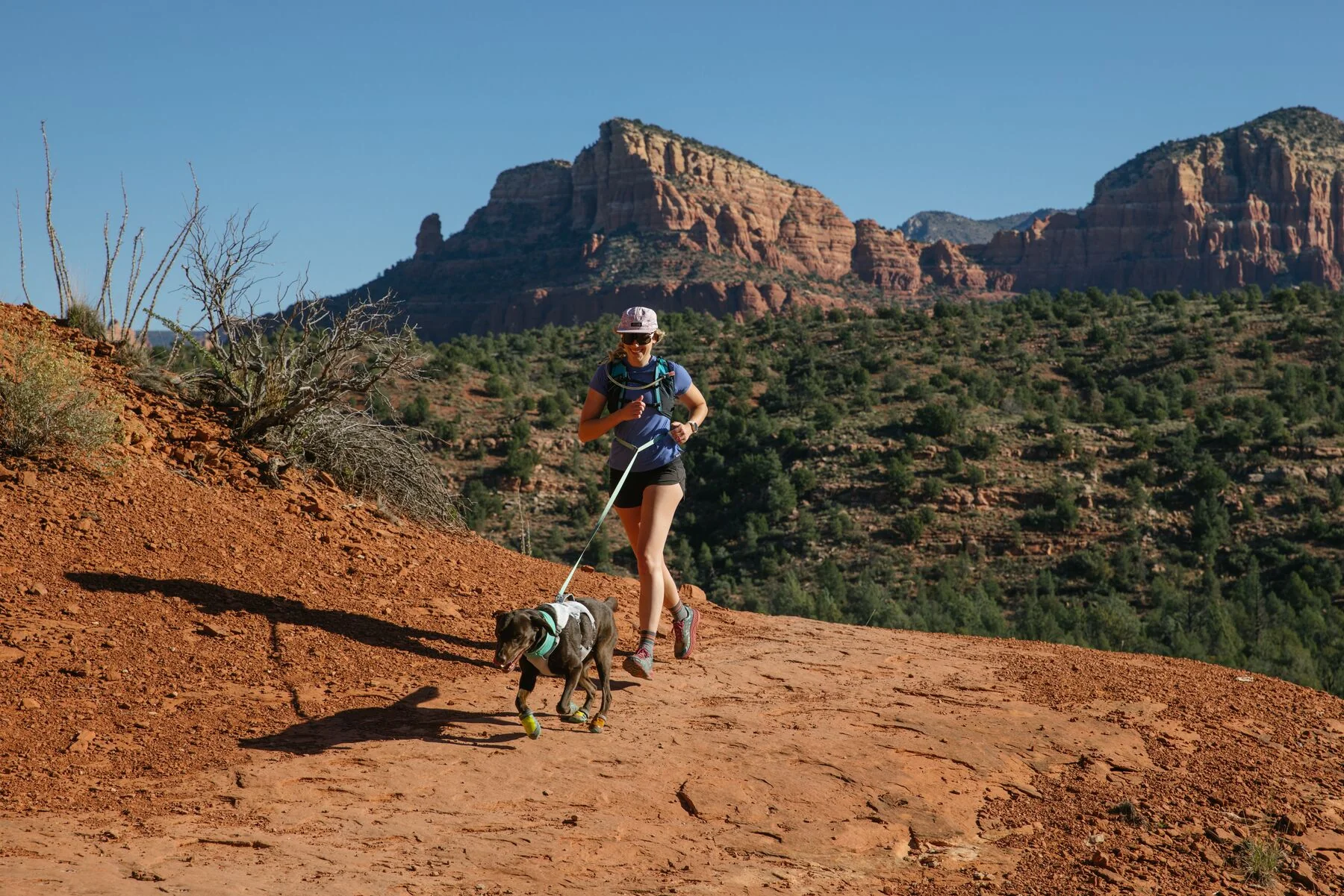 Imagen del producto 59