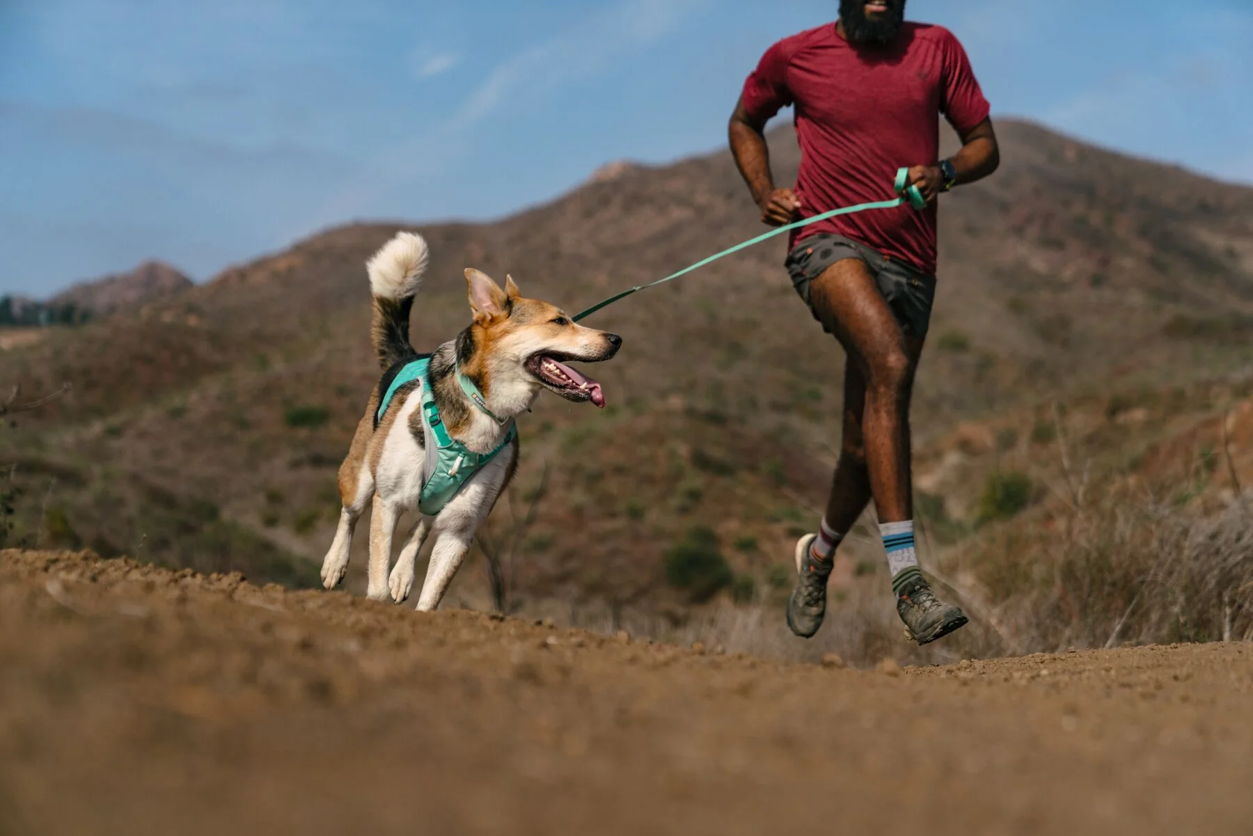 Imagen del producto 38