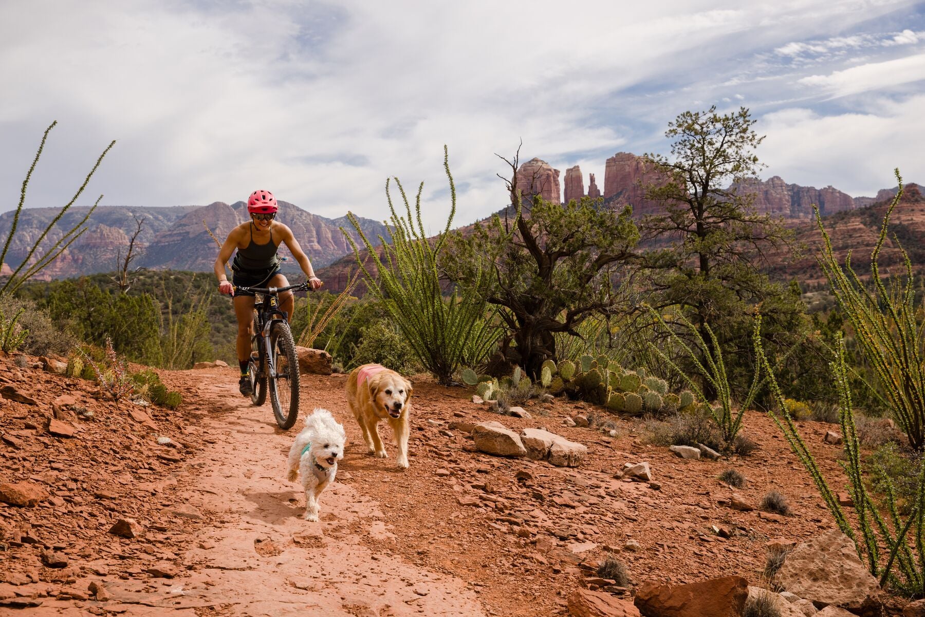 Imagen del producto 24