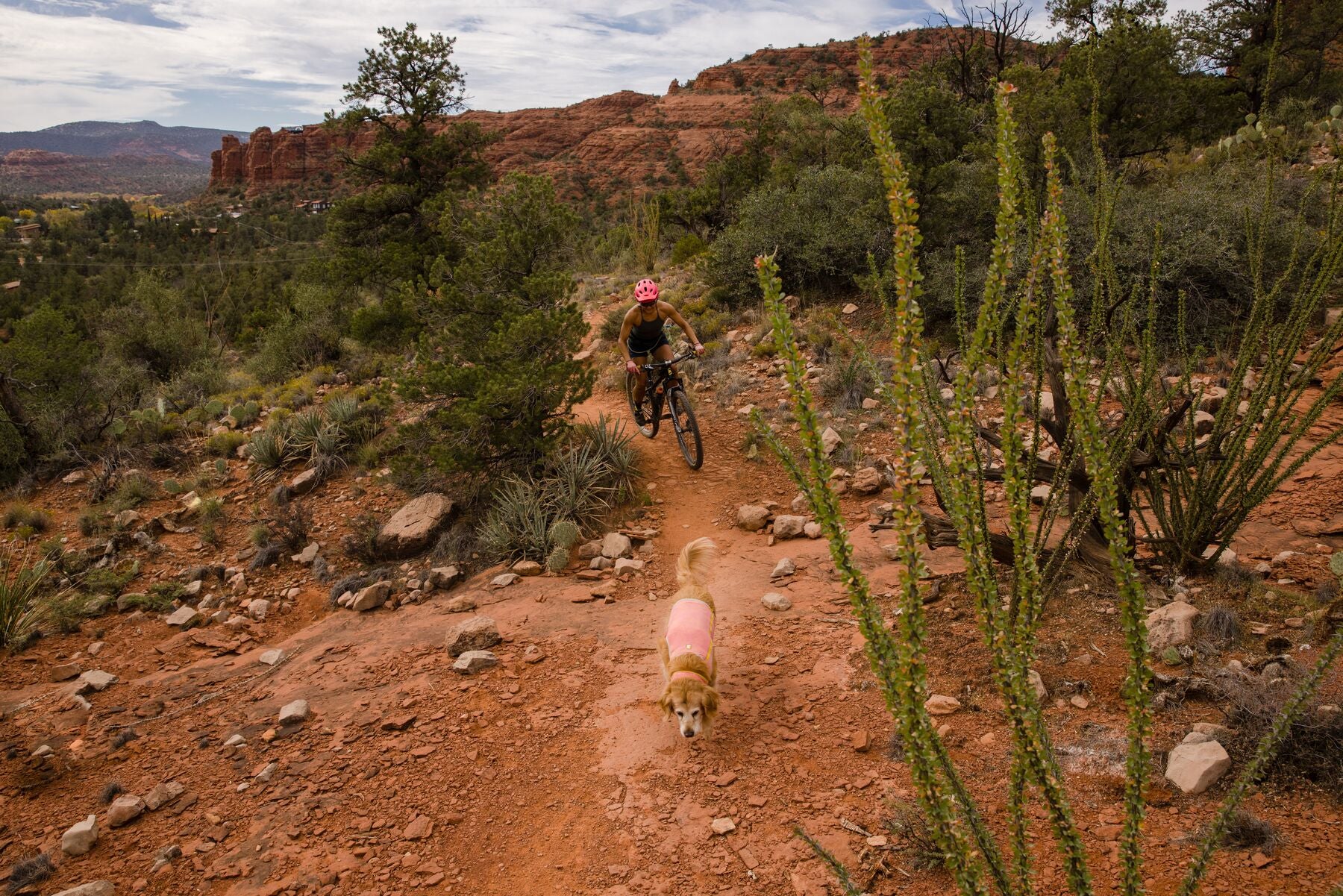 Imagen del producto 27