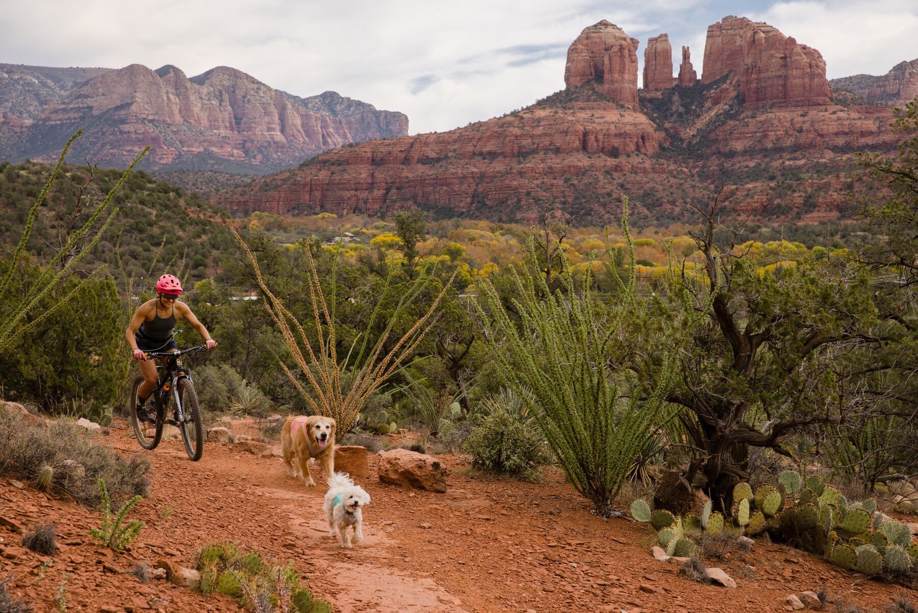 Imagen del producto 31