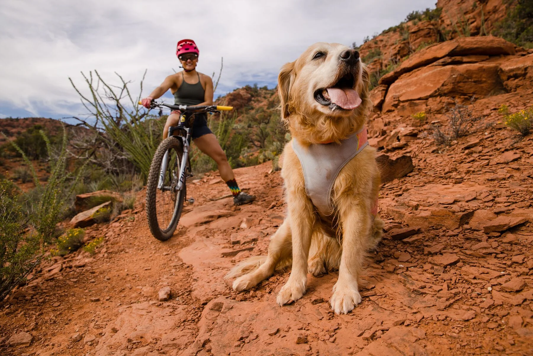 Imagen del producto 37