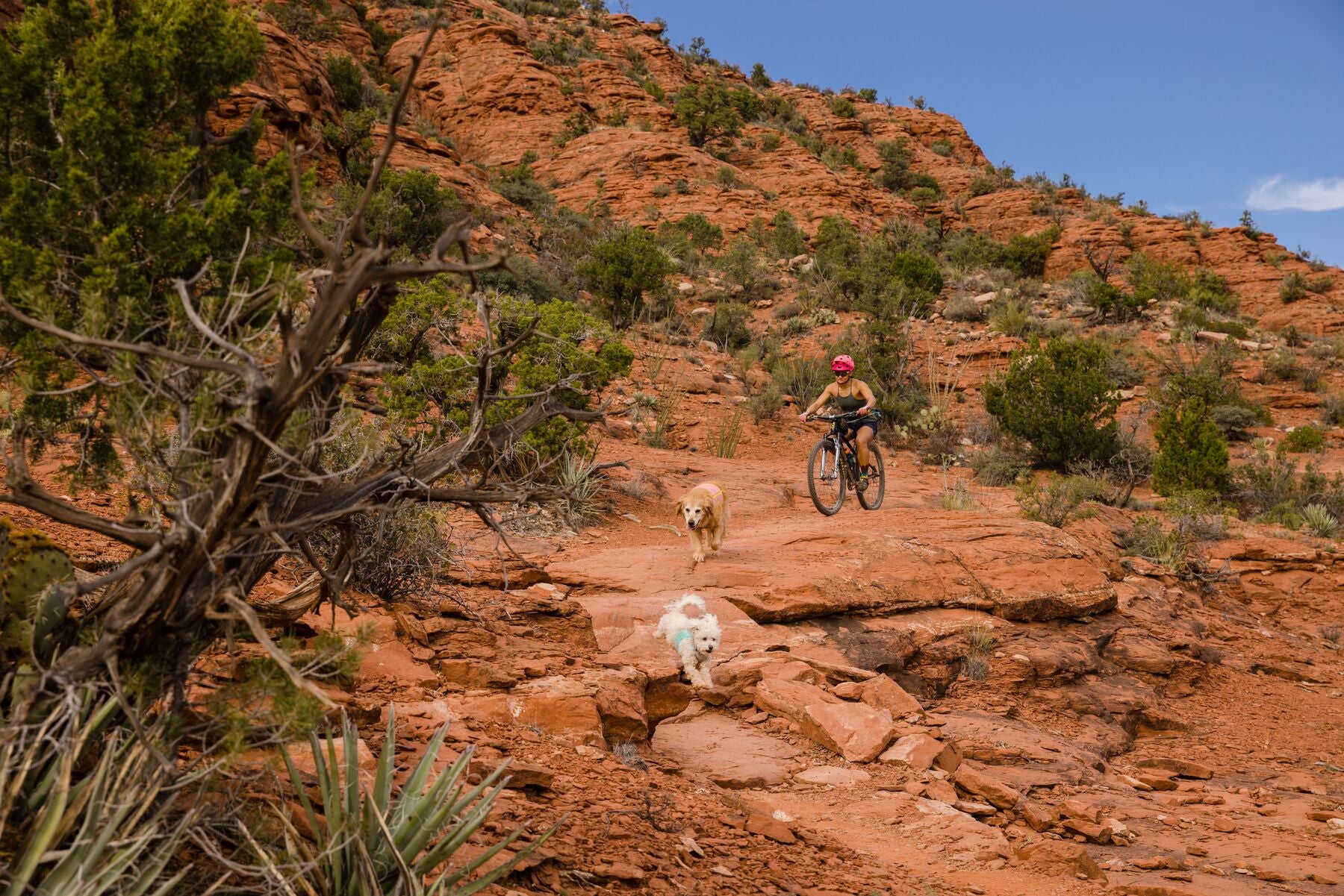 Imagen del producto 38