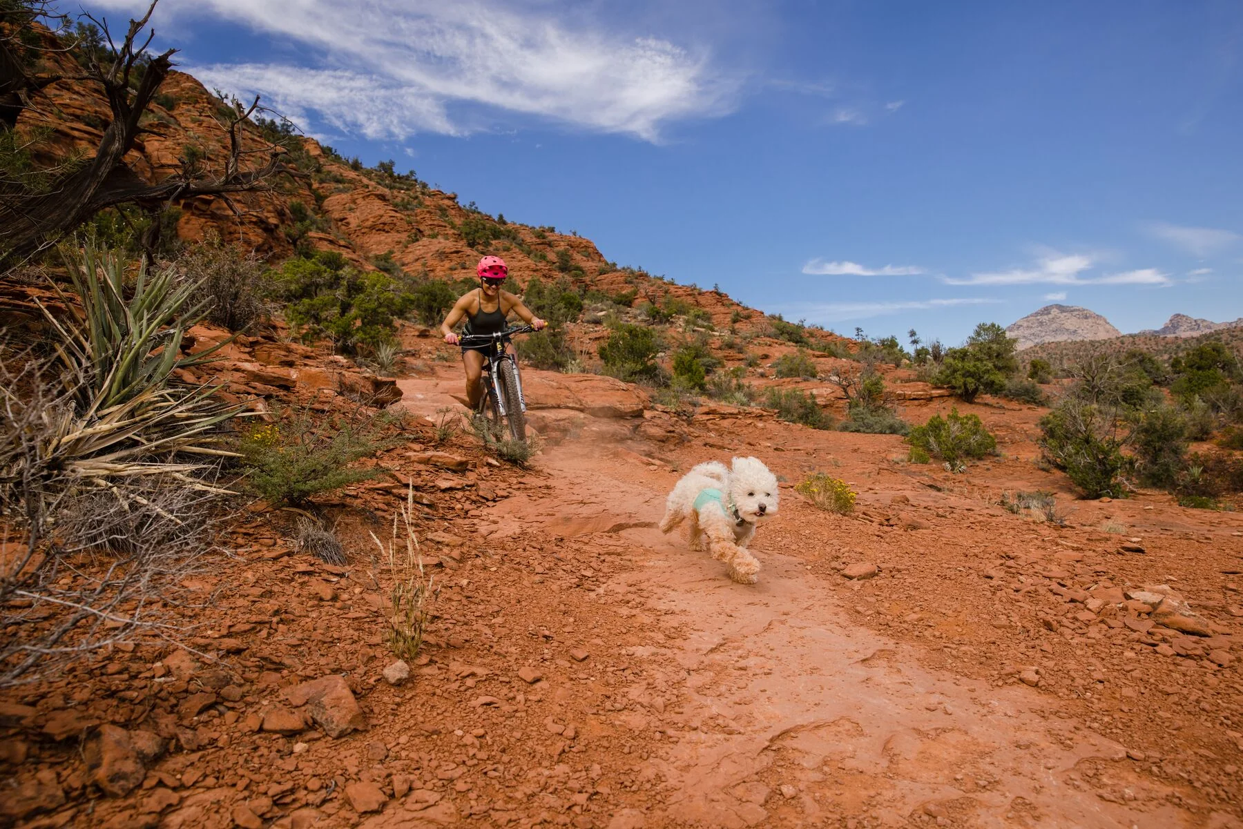 Imagen del producto 40