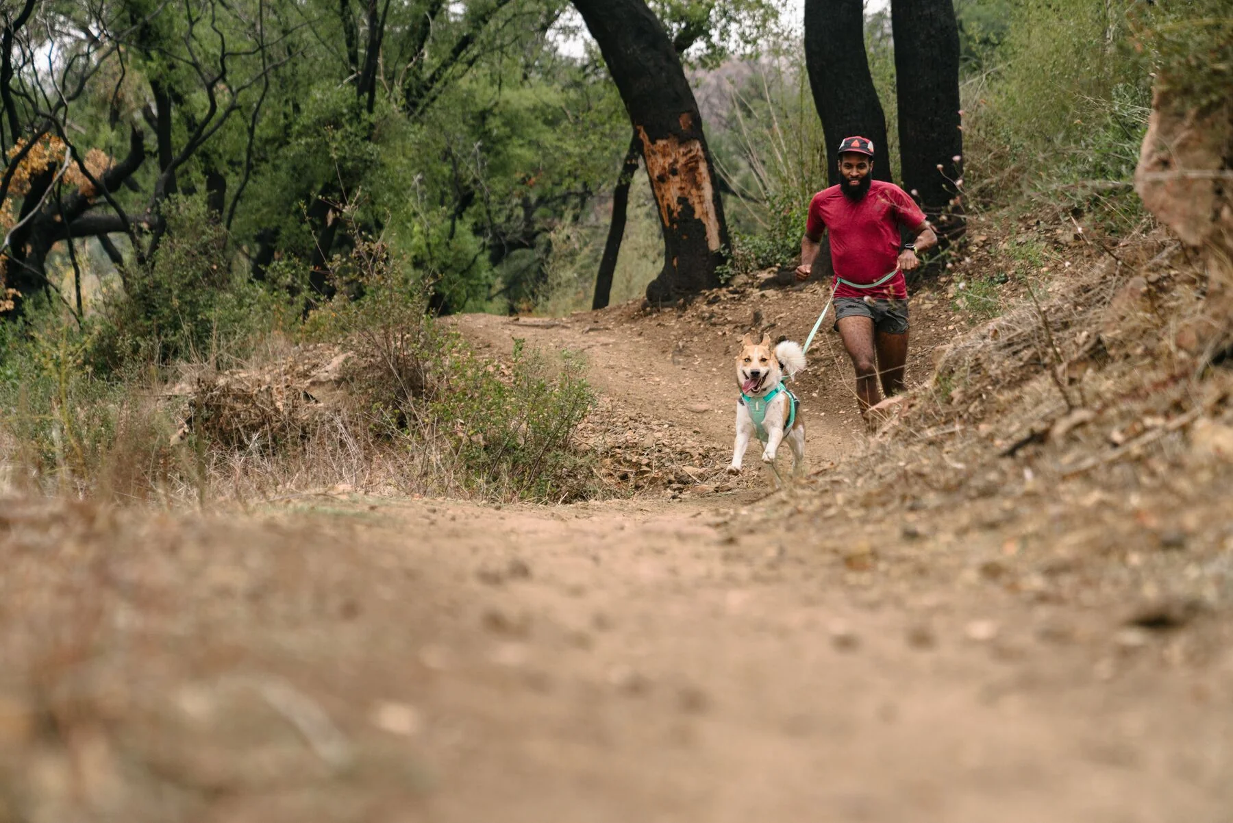 Imagen del producto 46