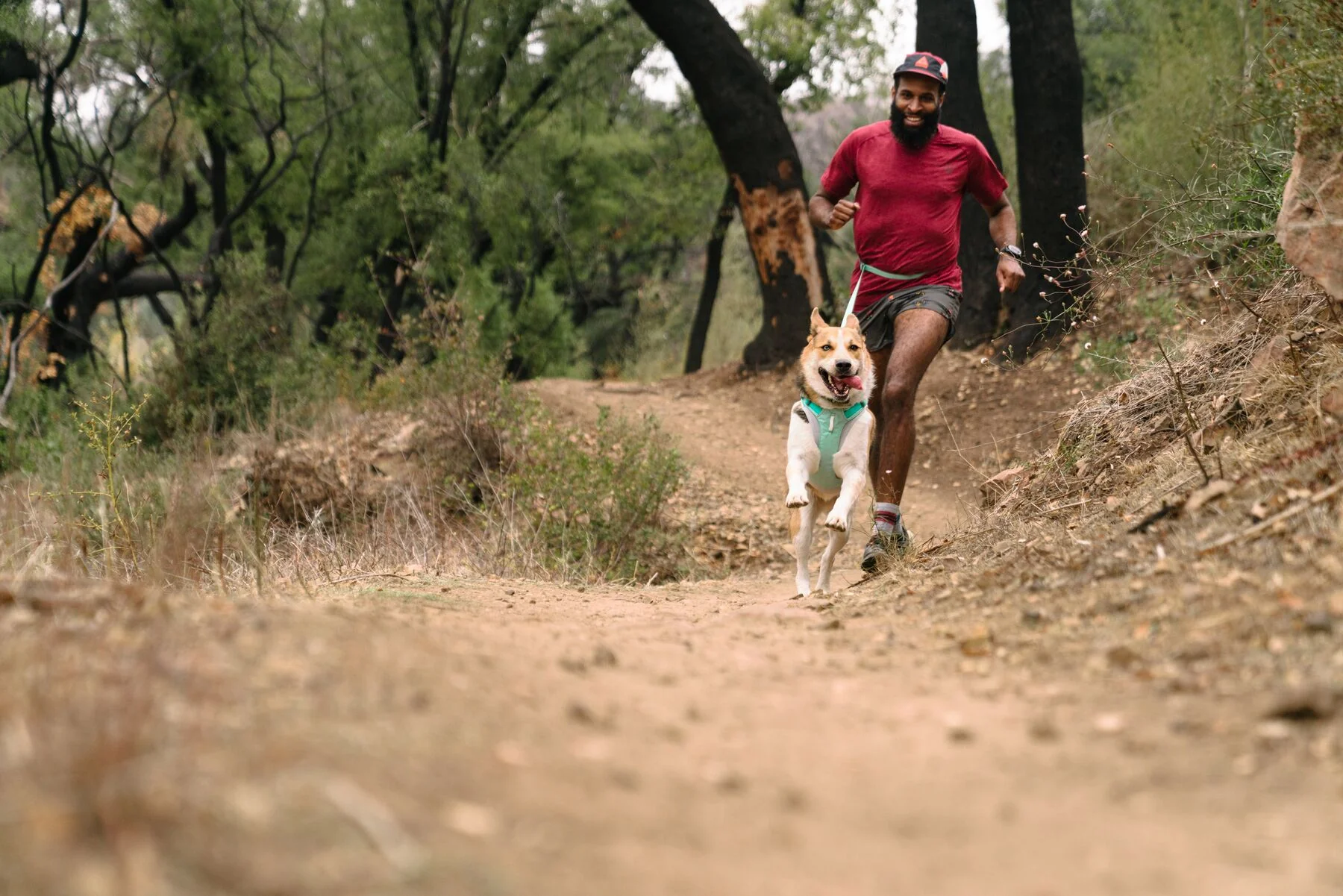 Imagen del producto 47