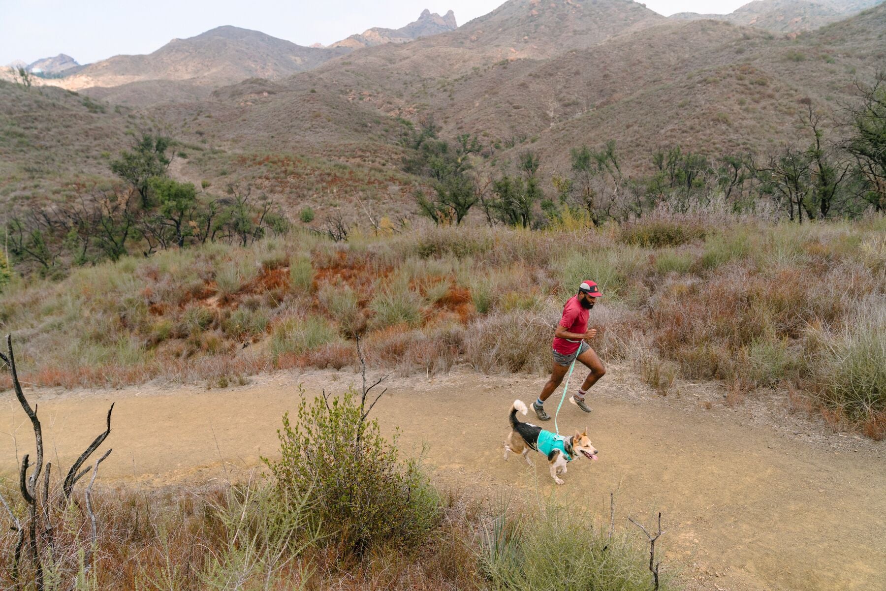 Imagen del producto 50