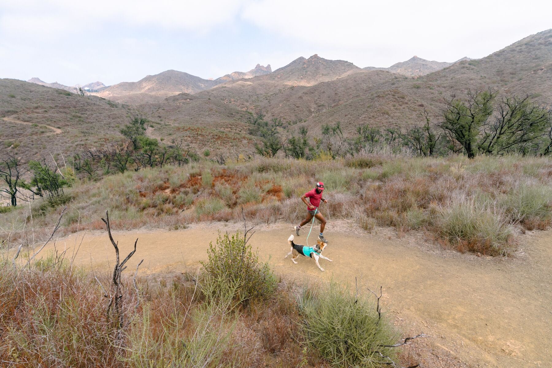 Imagen del producto 51