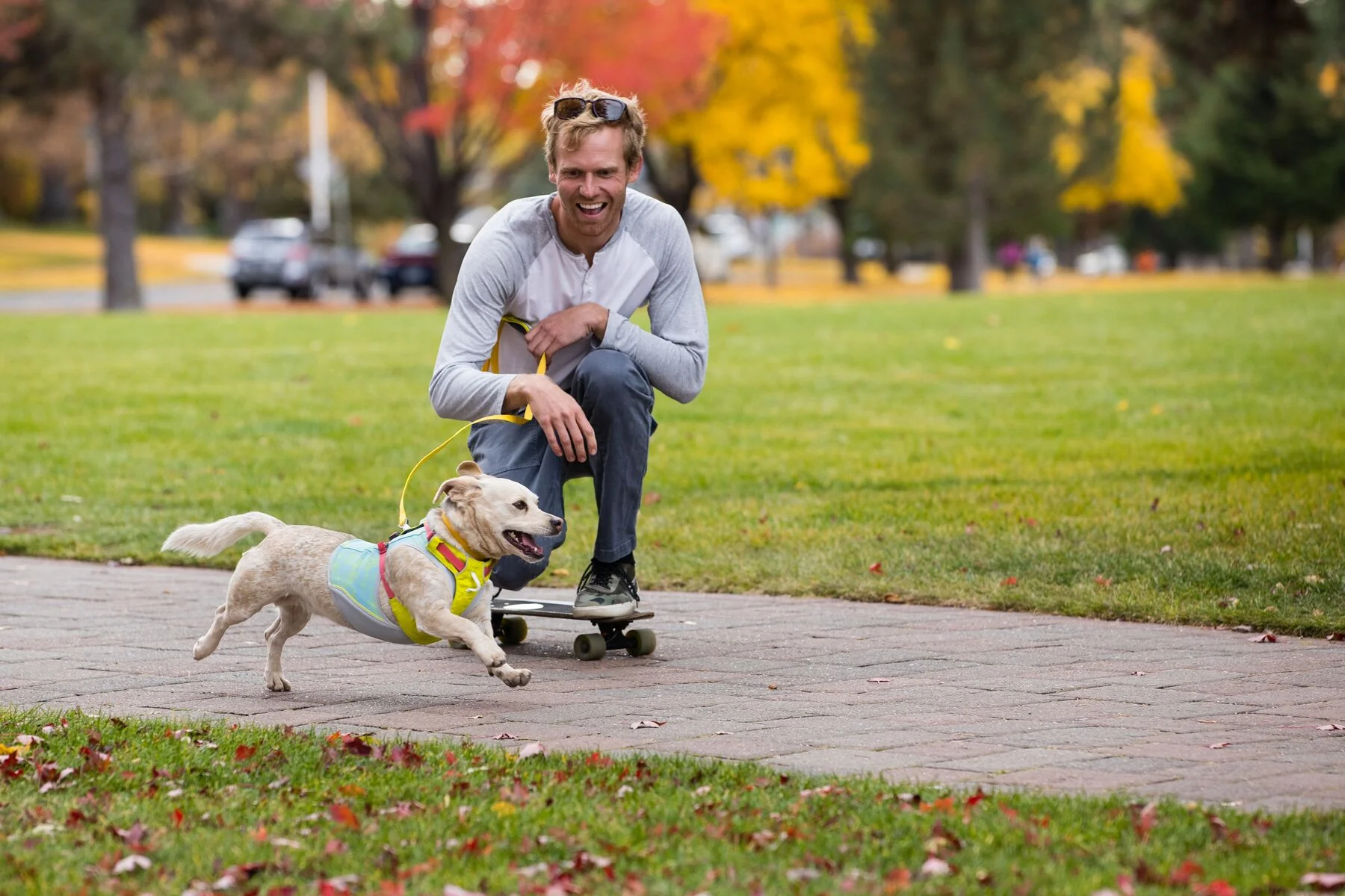 Imagen del producto 12