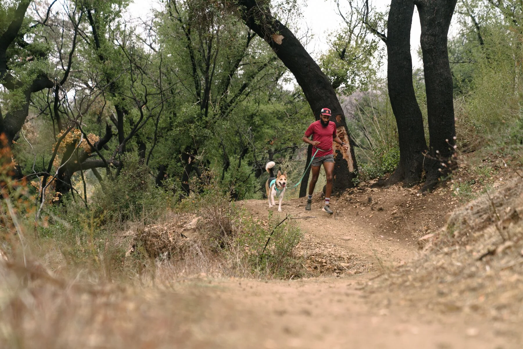 Imagen del producto 20