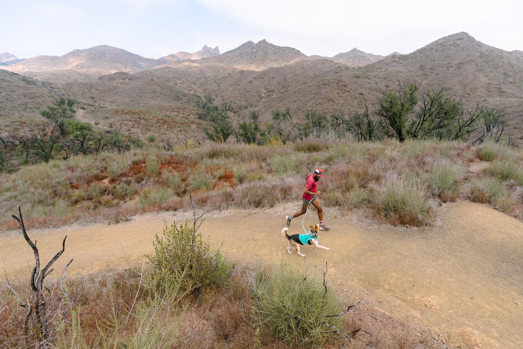 Imagen del producto 29