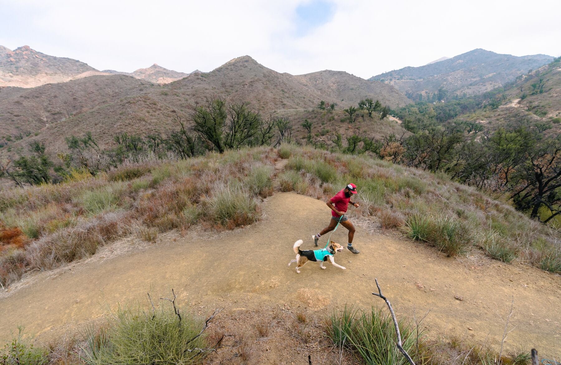 Imagen del producto 30