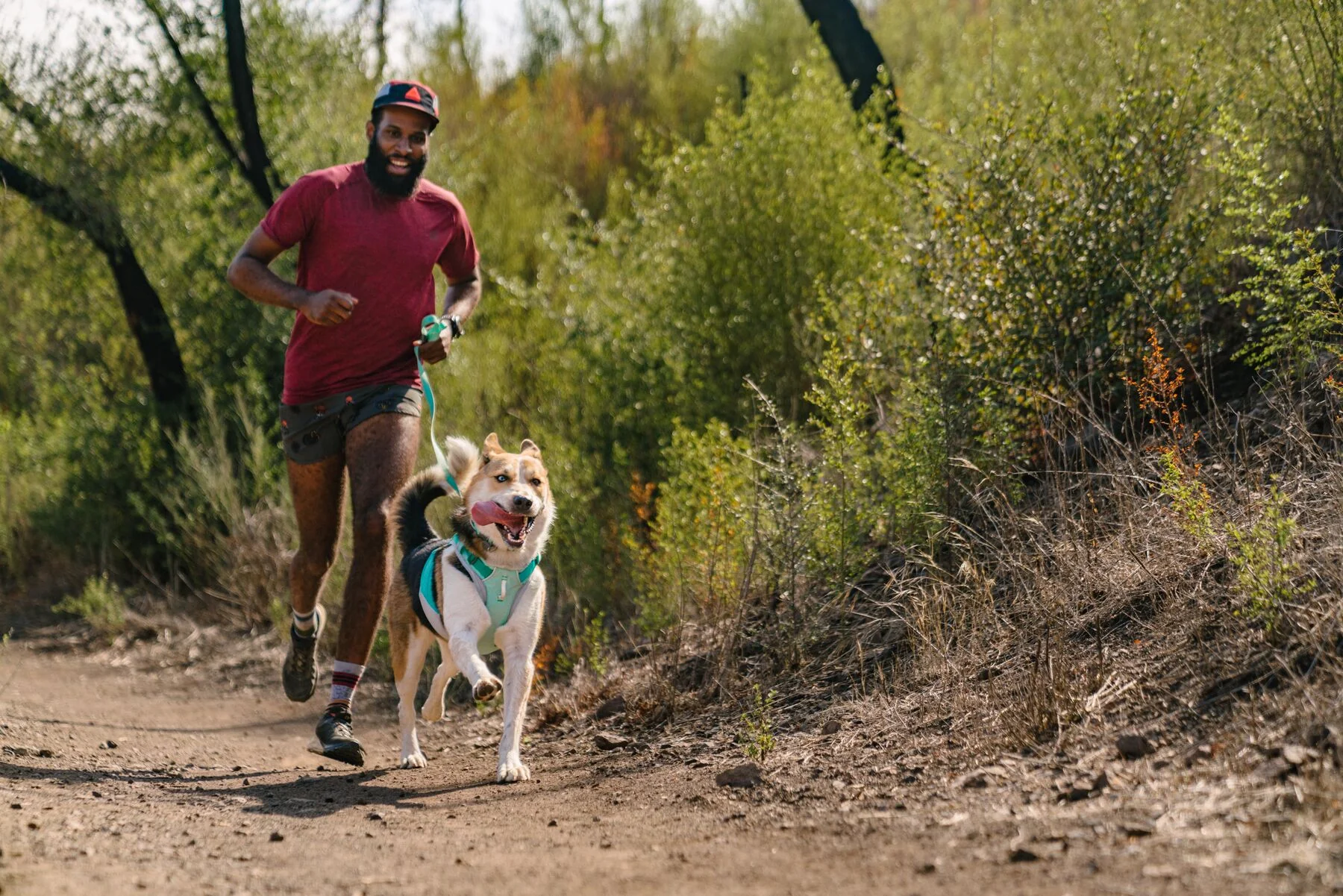 Imagen del producto 40