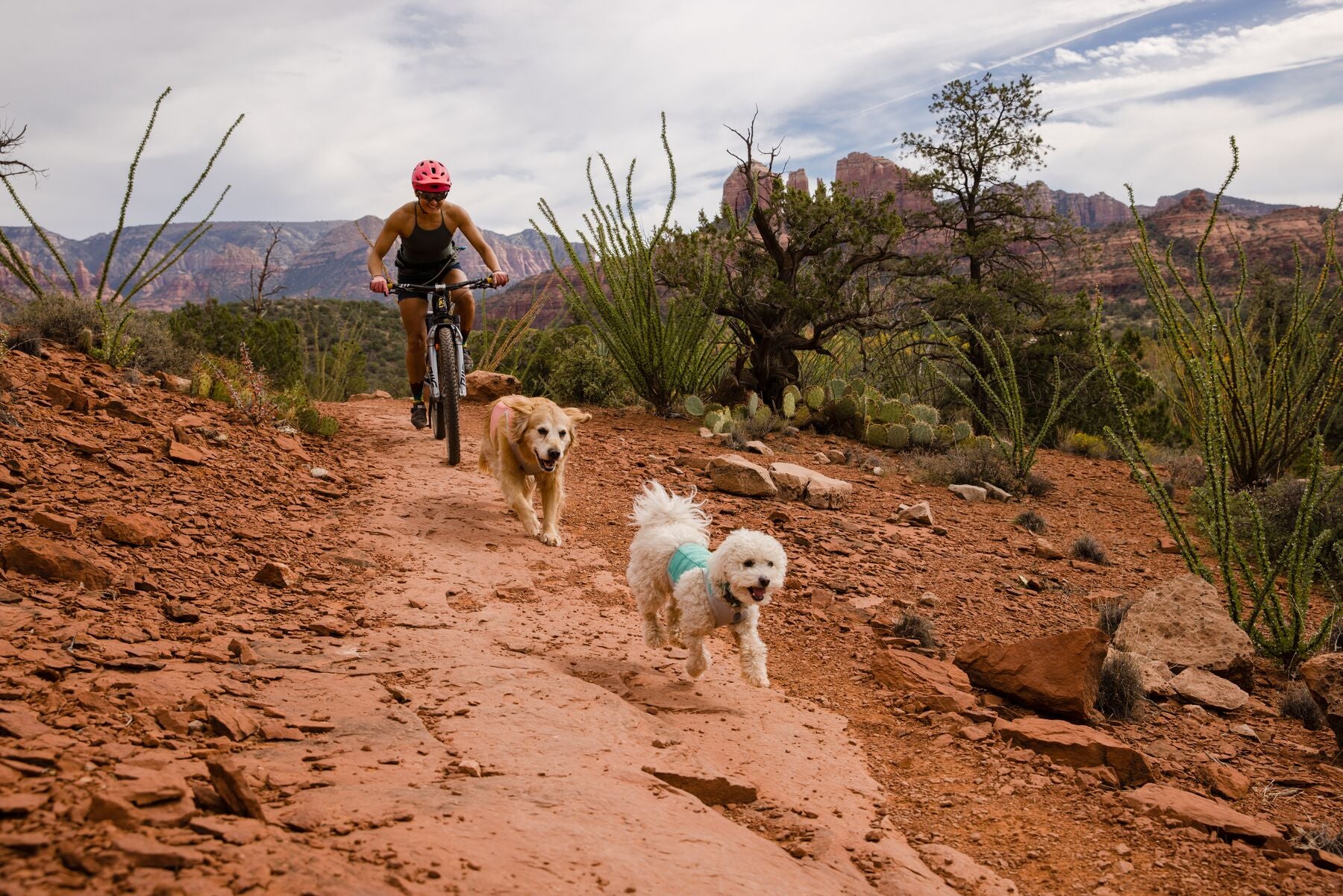 Imagen del producto 47