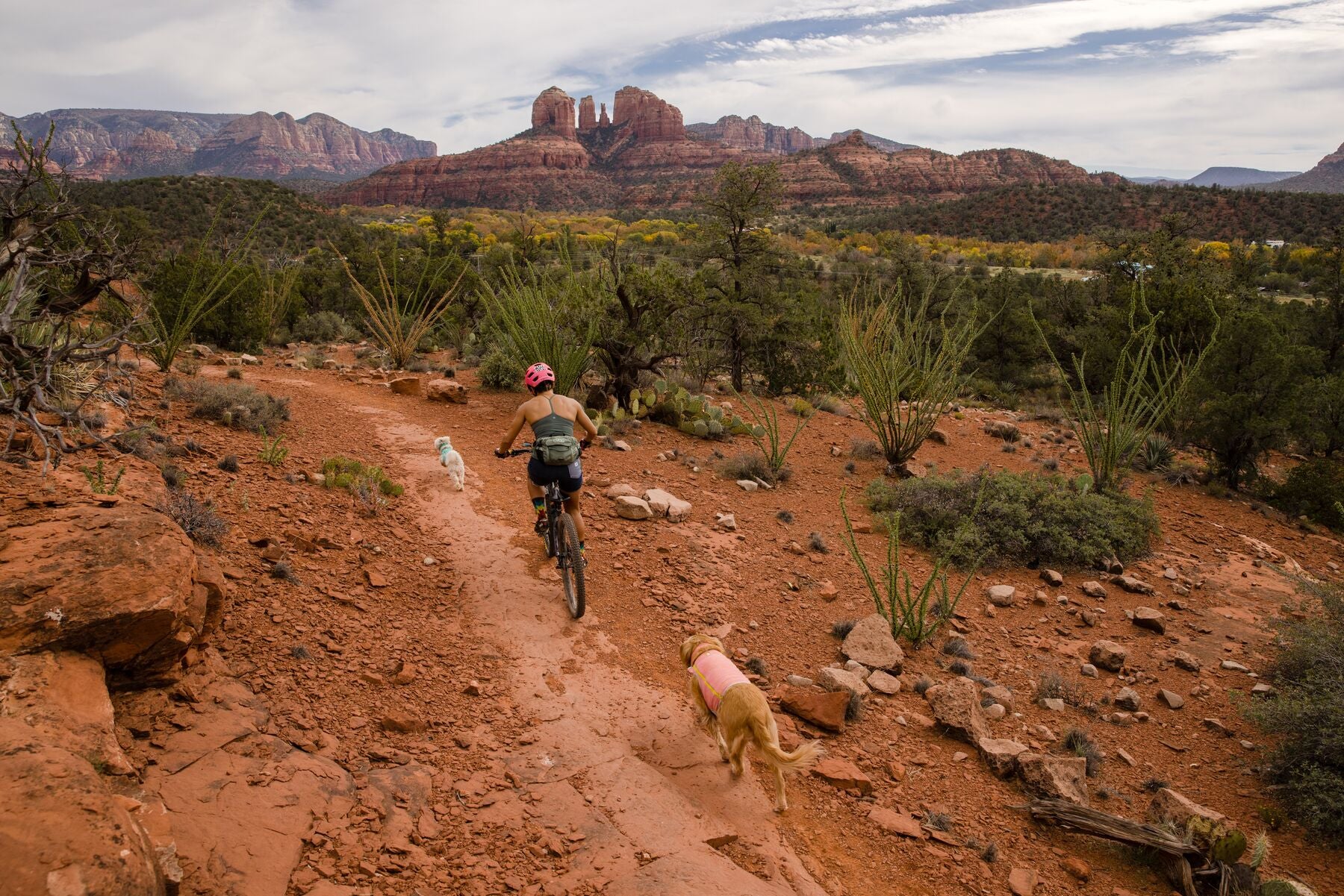 Imagen del producto 49