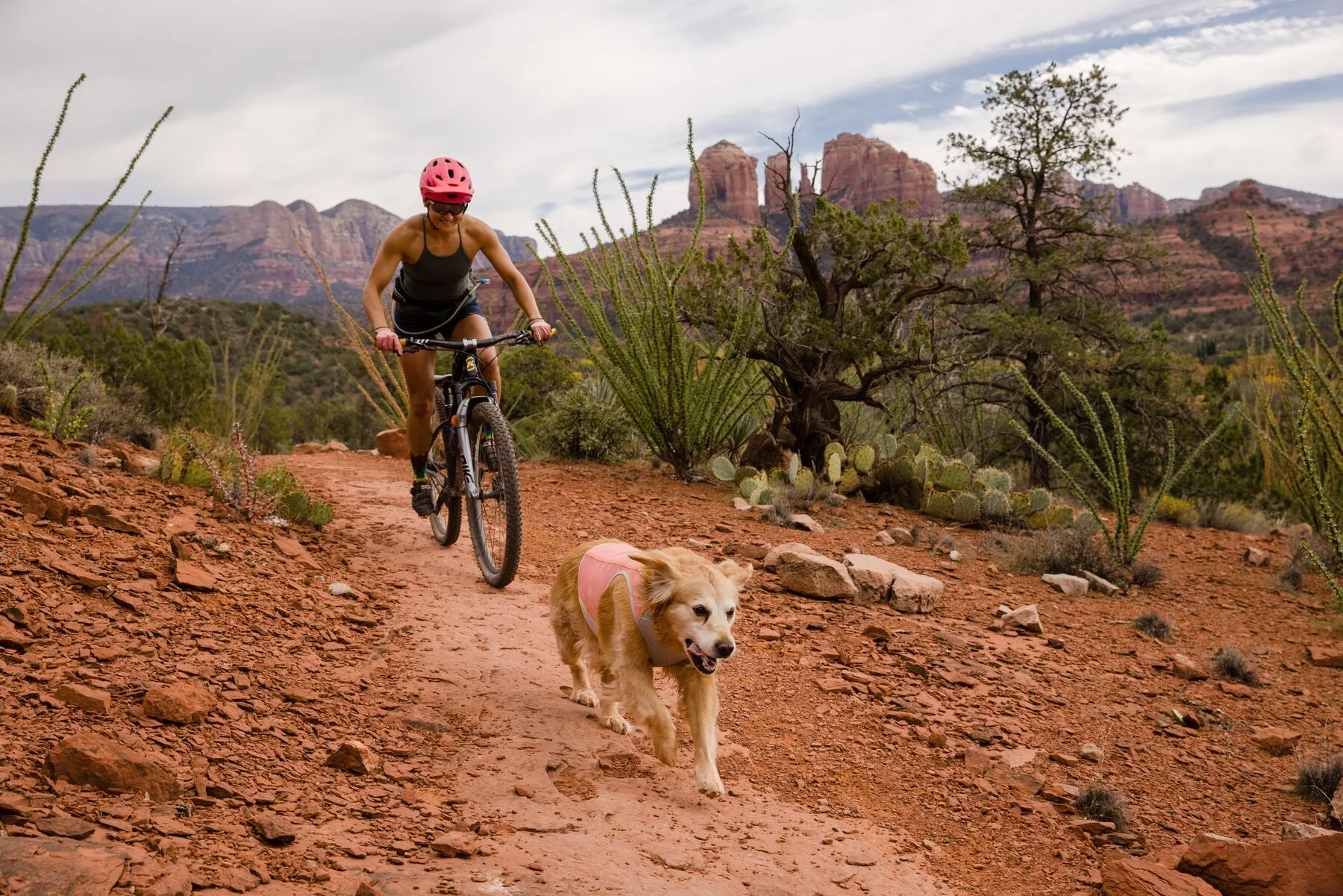 Imagen del producto 53