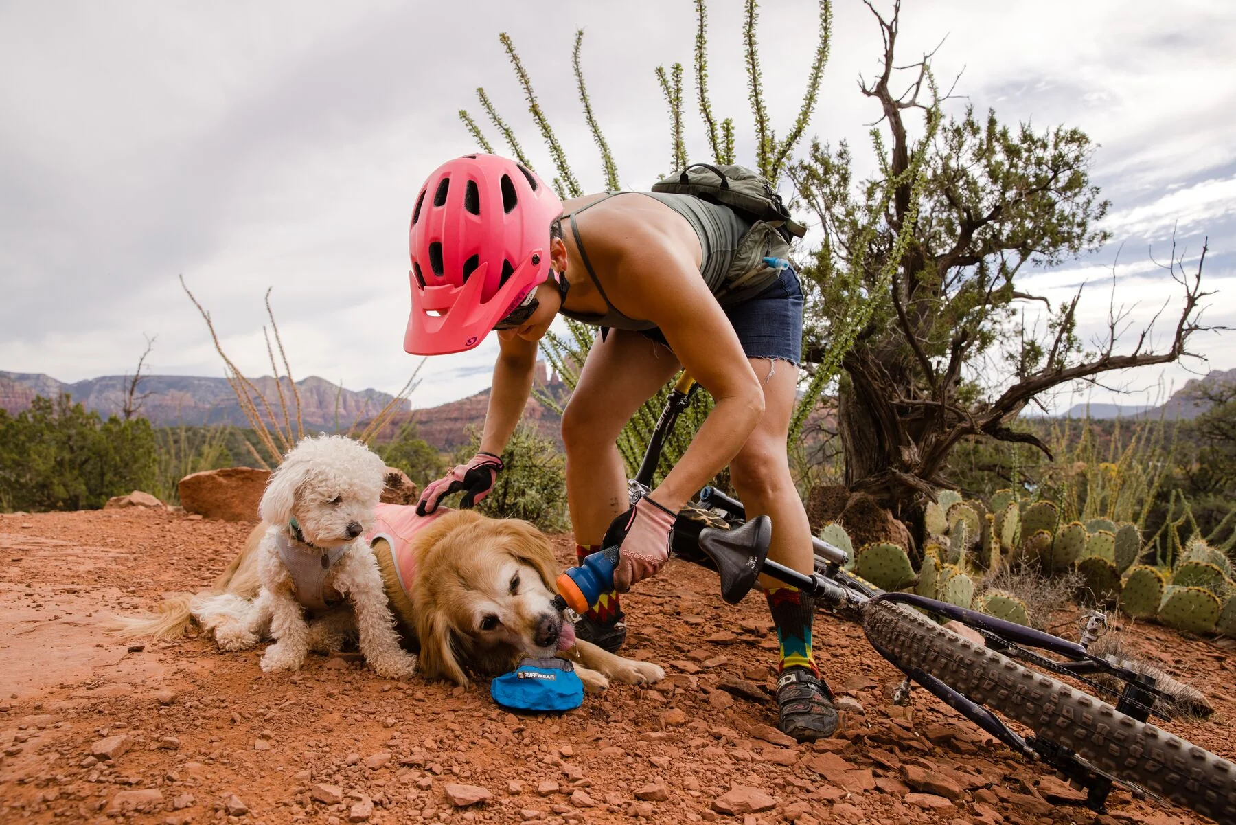 Imagen del producto 54