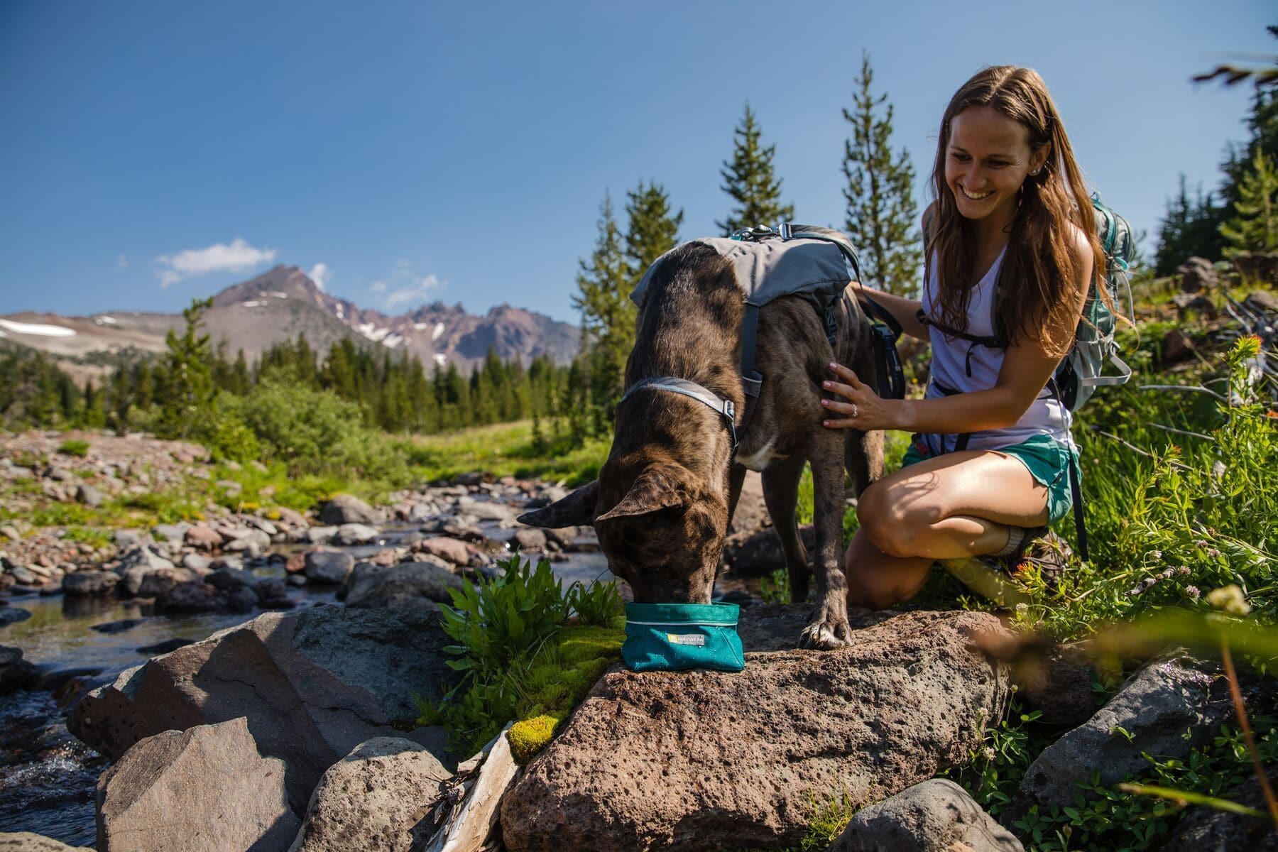 Imagen del producto 19