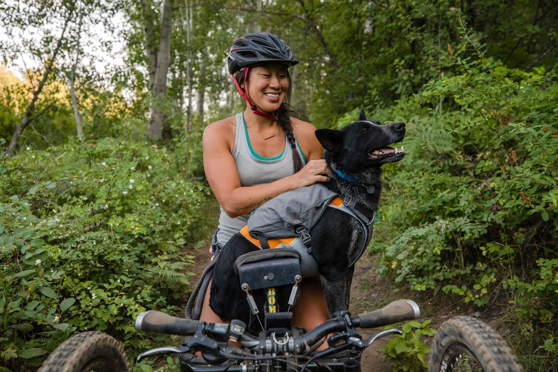 Imagen del producto 22