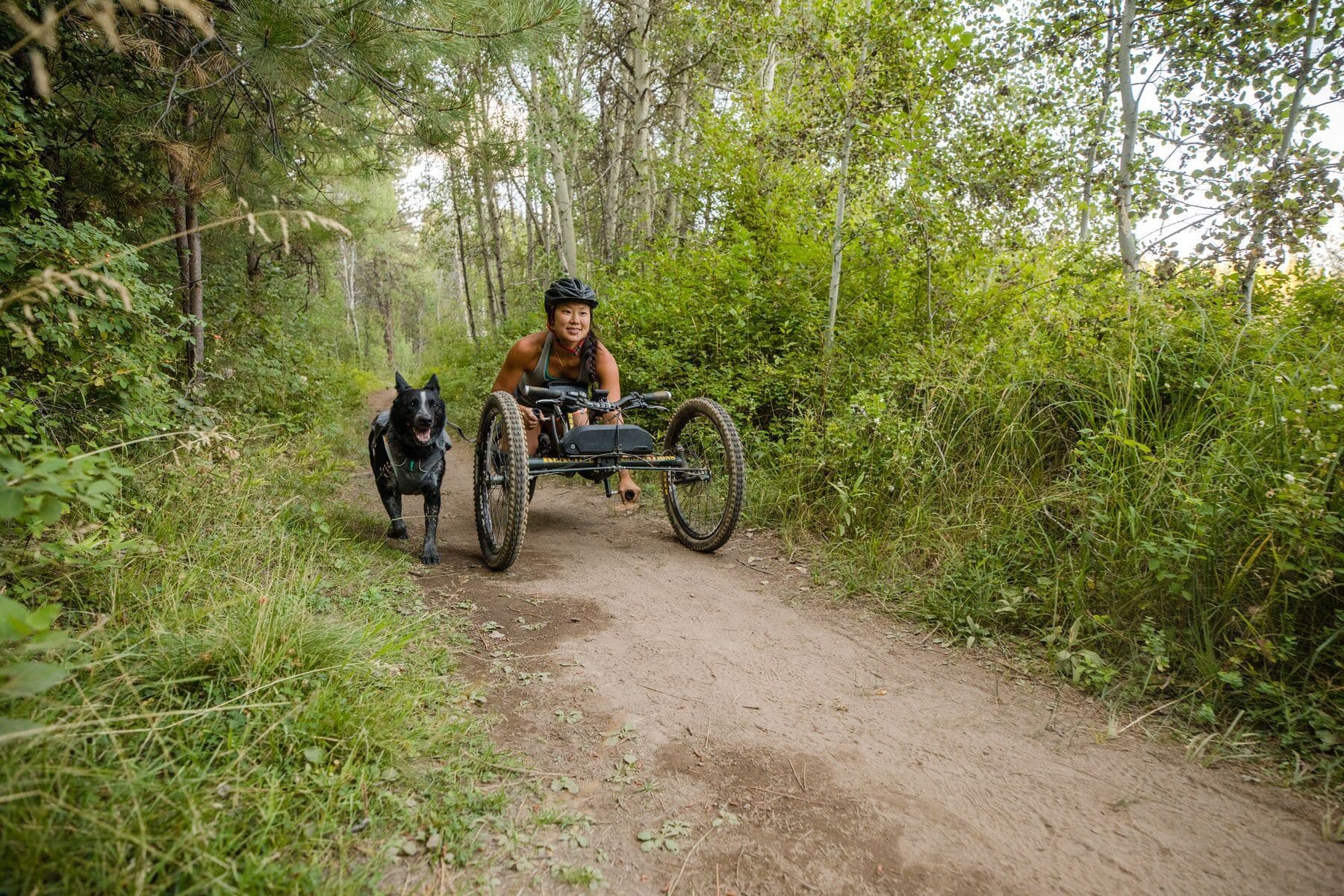 Imagen del producto 25