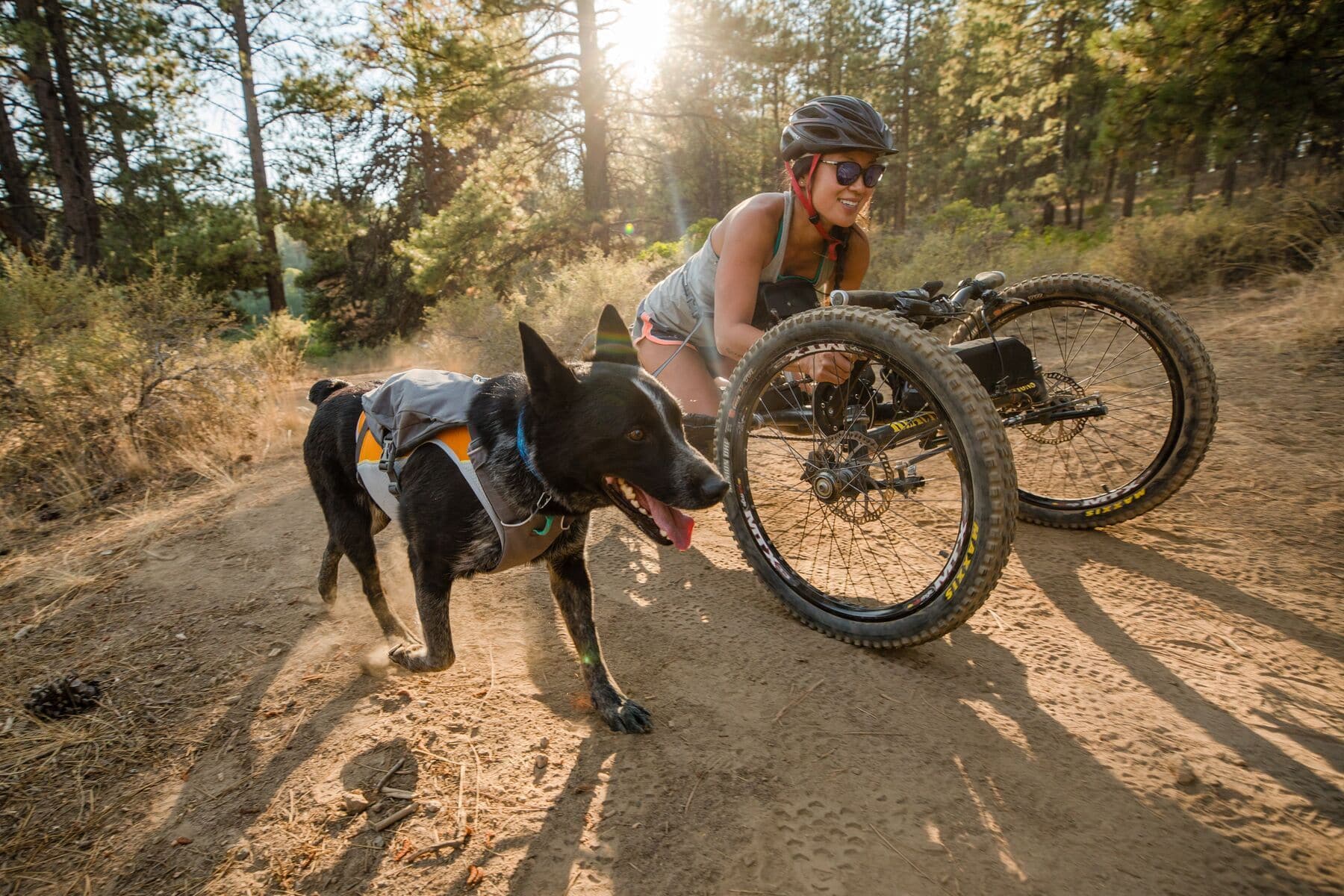 Imagen del producto 26