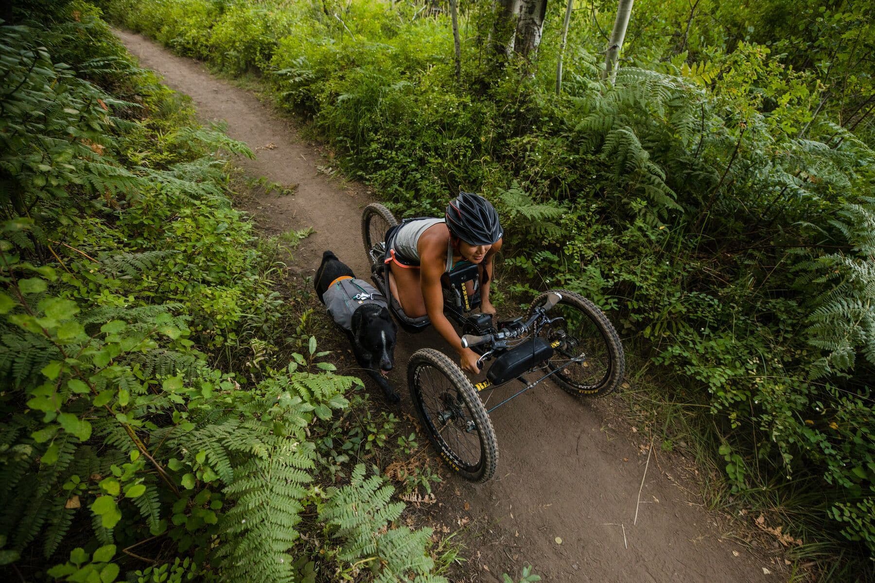 Imagen del producto 27