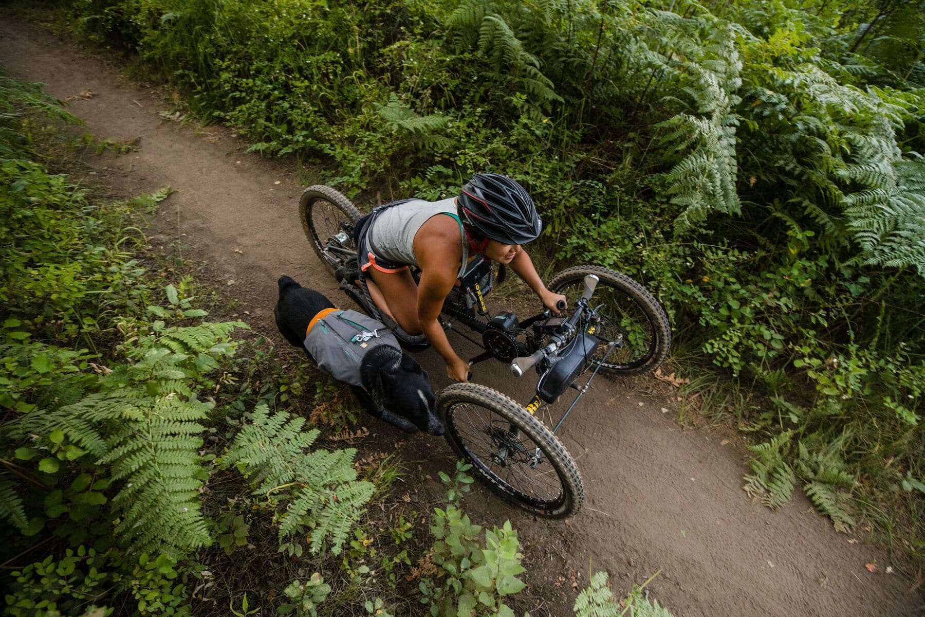 Imagen del producto 28