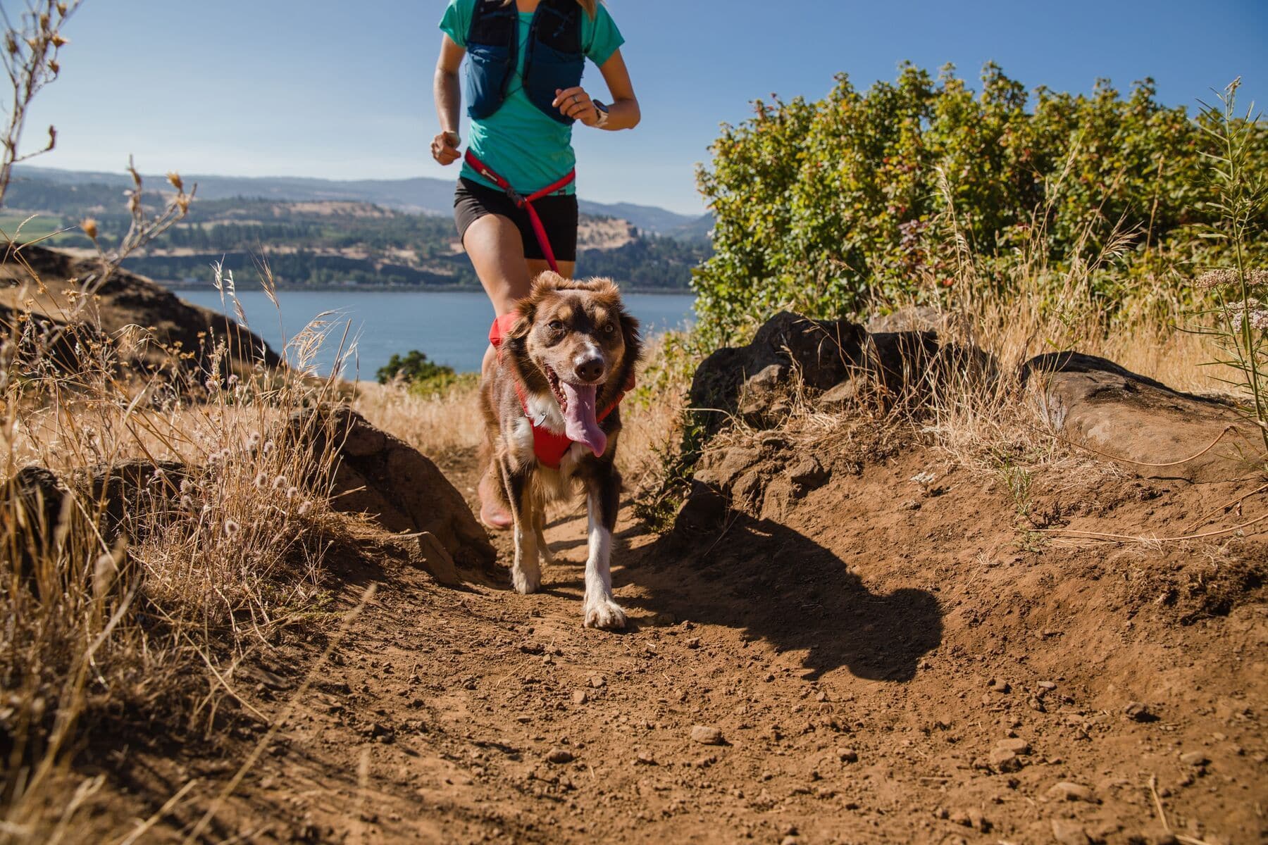 Imagen del producto 30