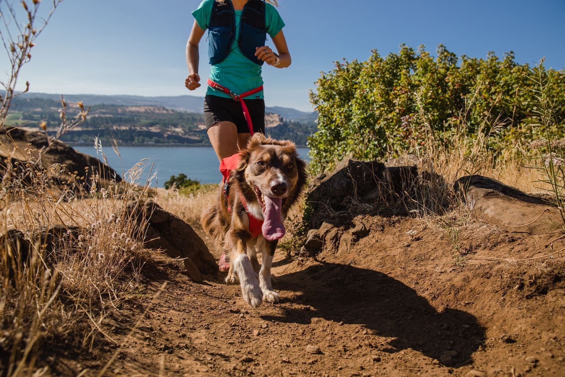 Imagen del producto 31