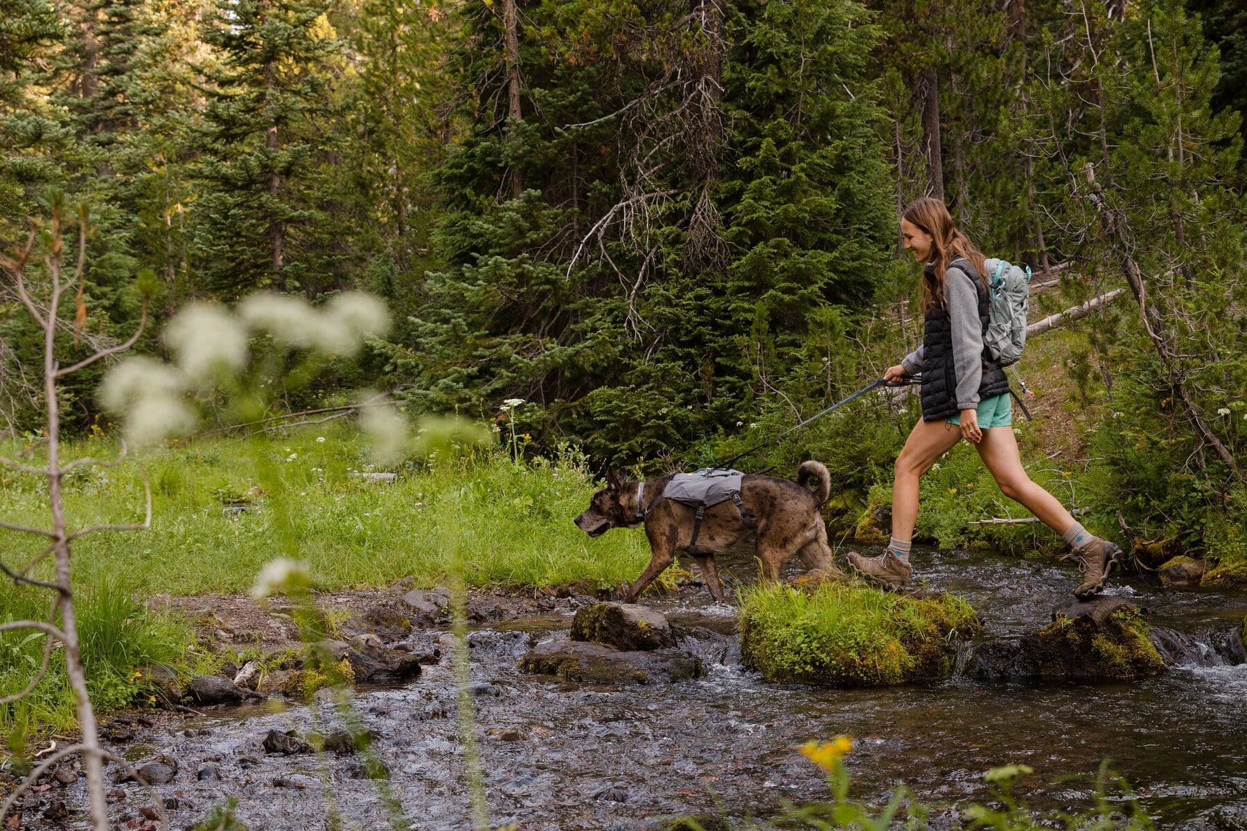 Imagen del producto 43