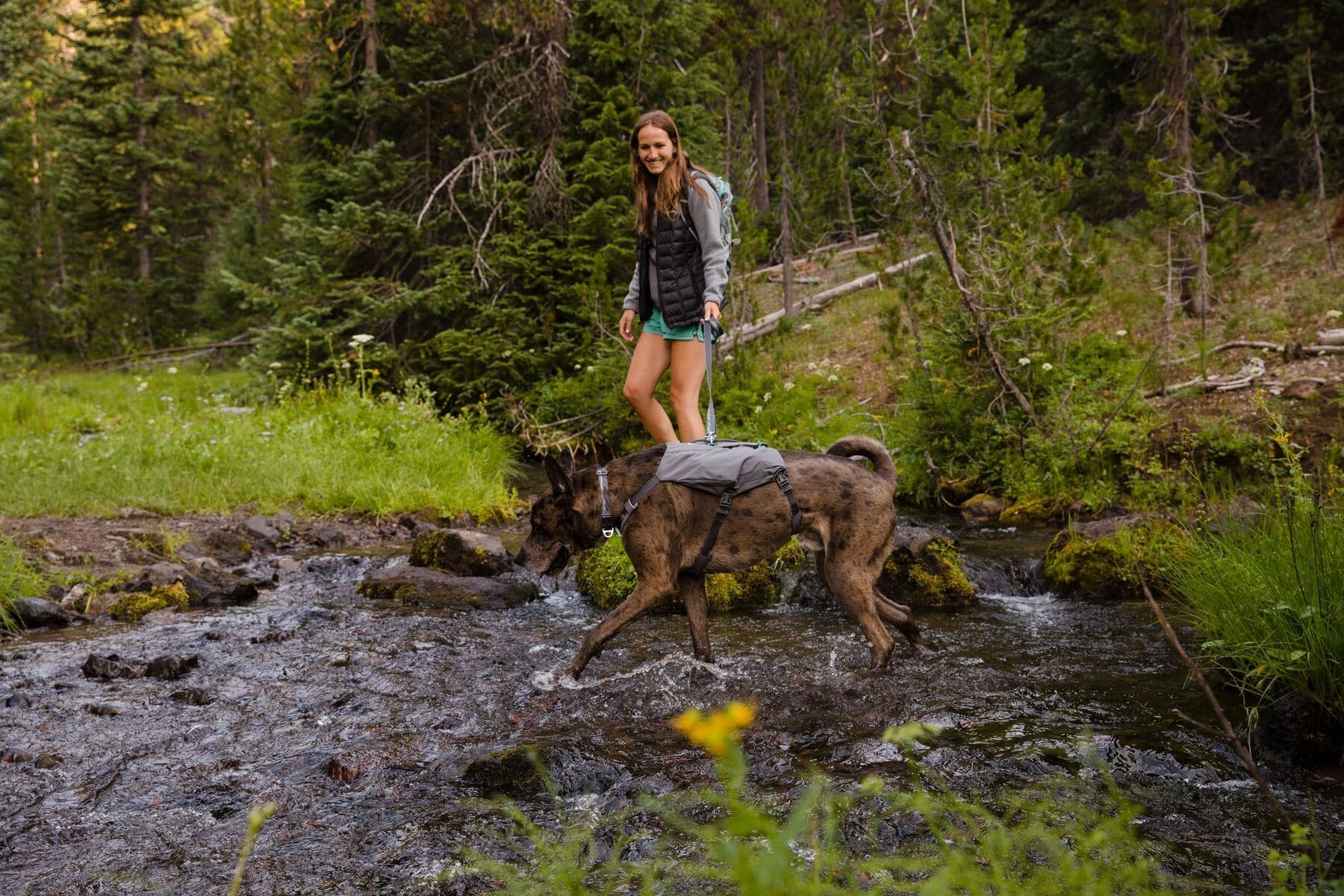 Imagen del producto 45