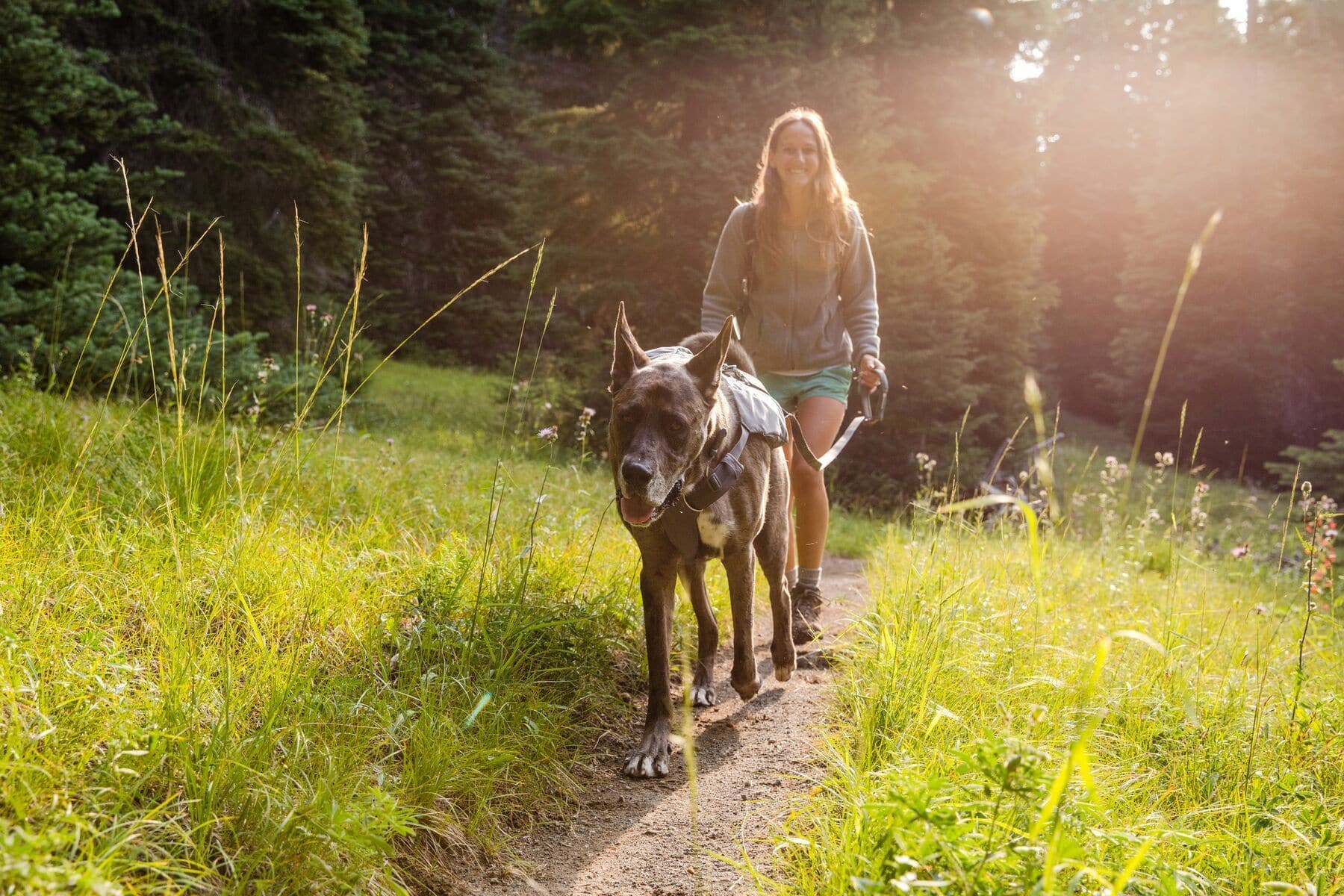 Imagen del producto 46