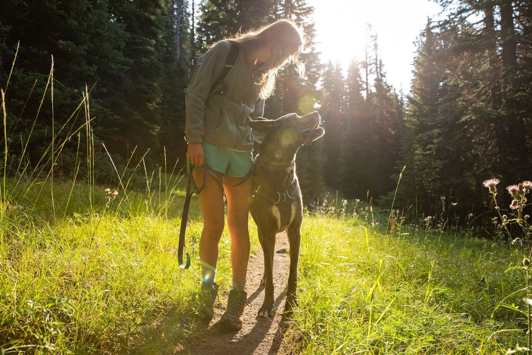 Imagen del producto 47