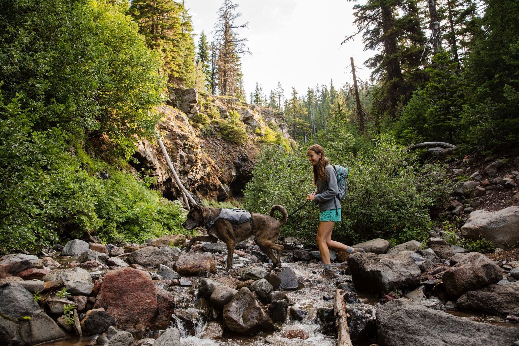 Imagen del producto 49