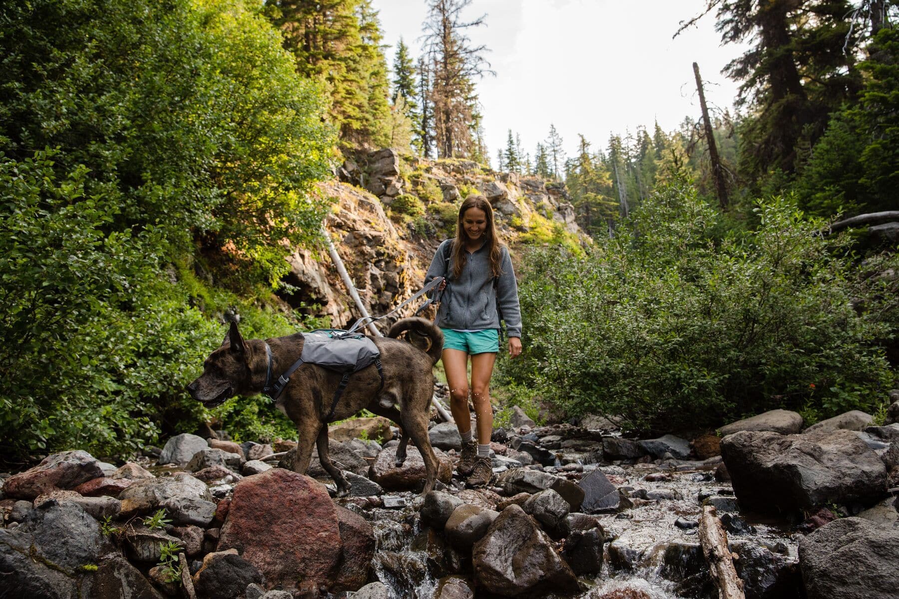 Imagen del producto 50