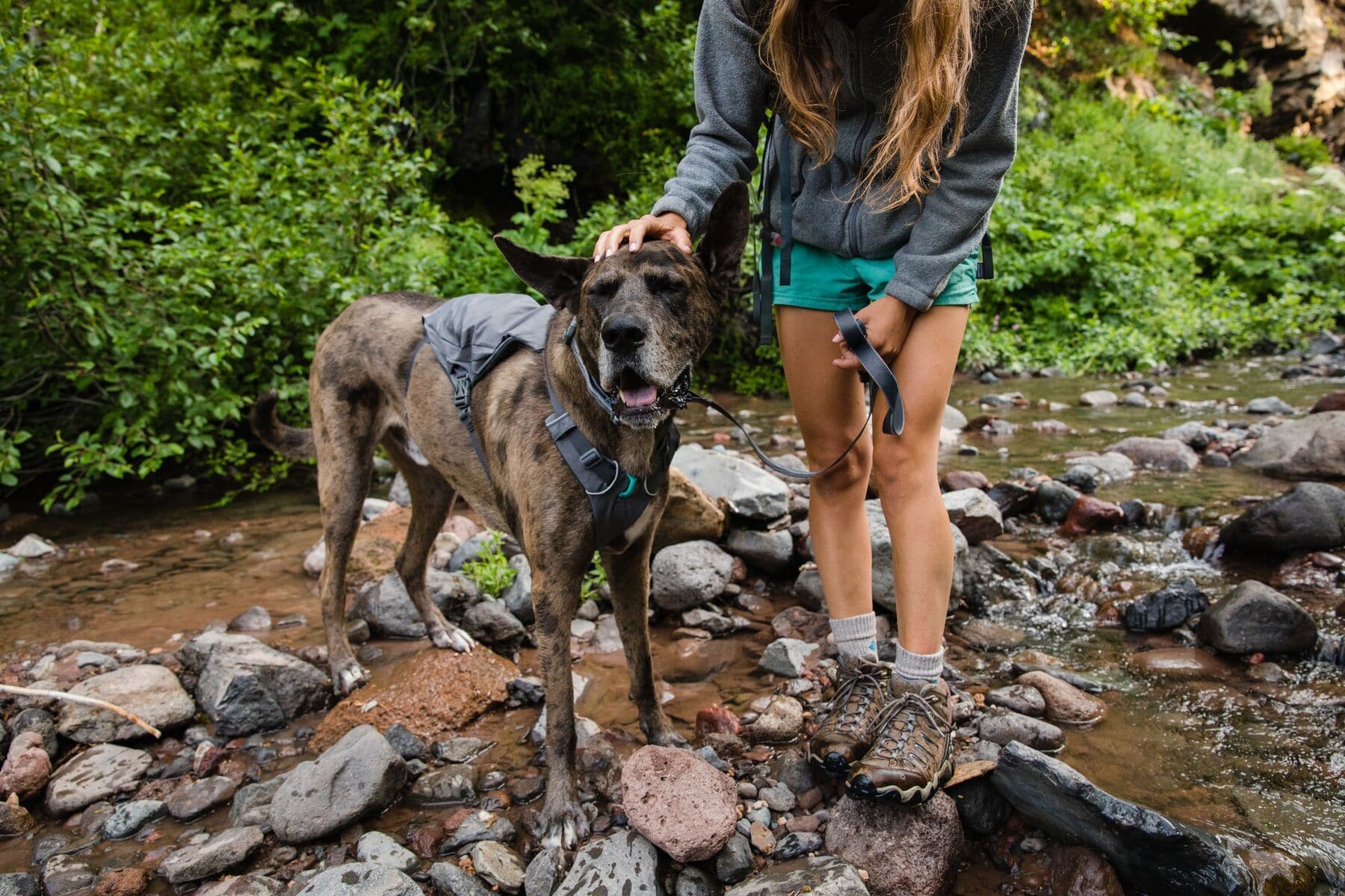 Imagen del producto 51