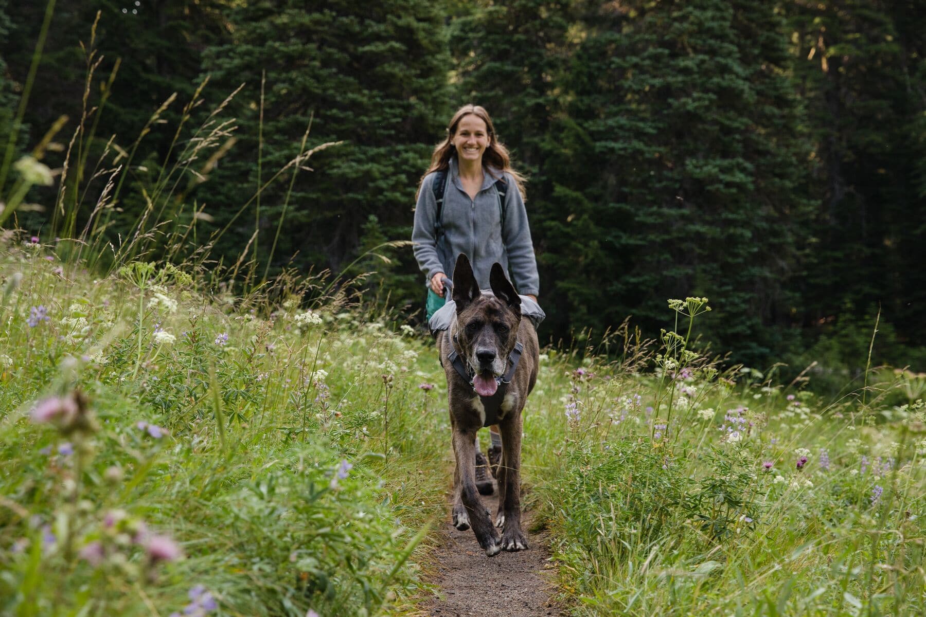 Imagen del producto 54