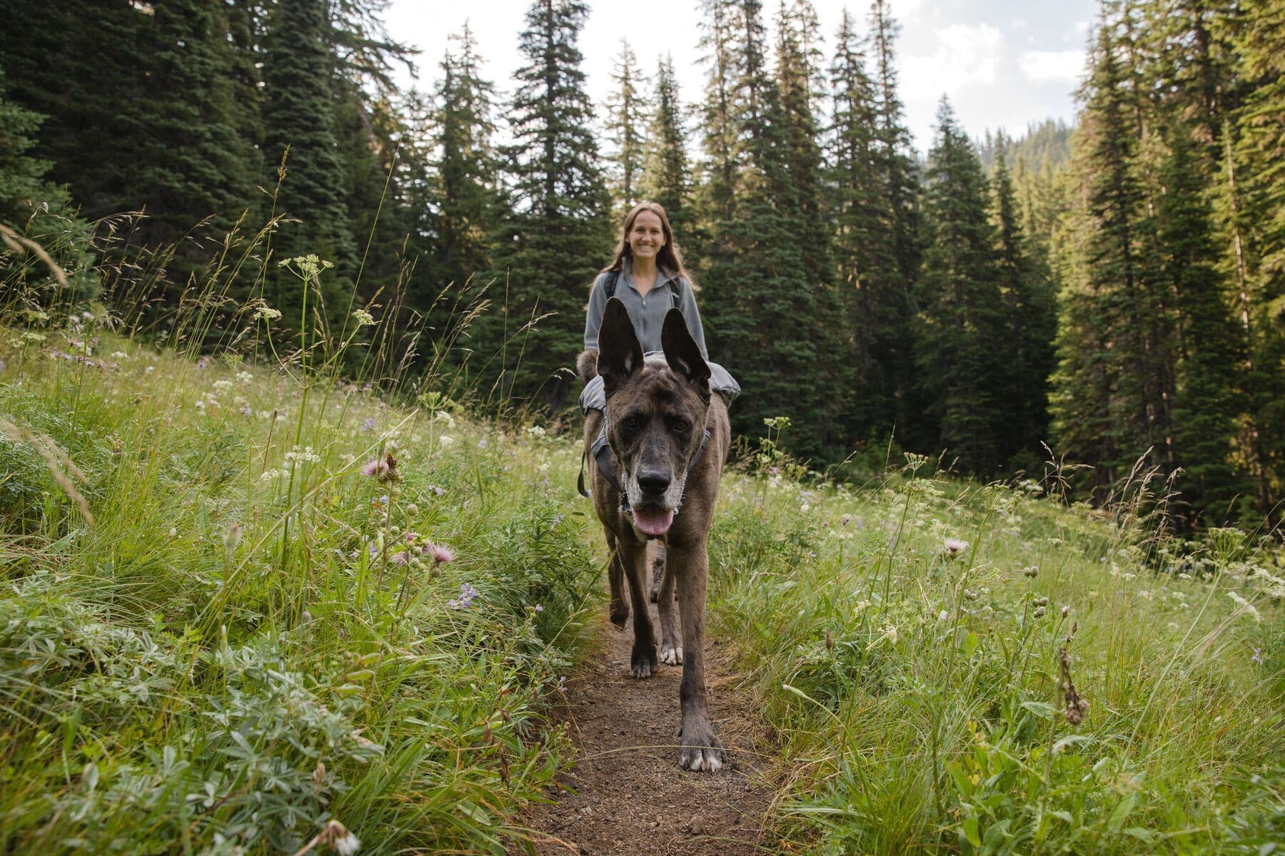 Imagen del producto 55