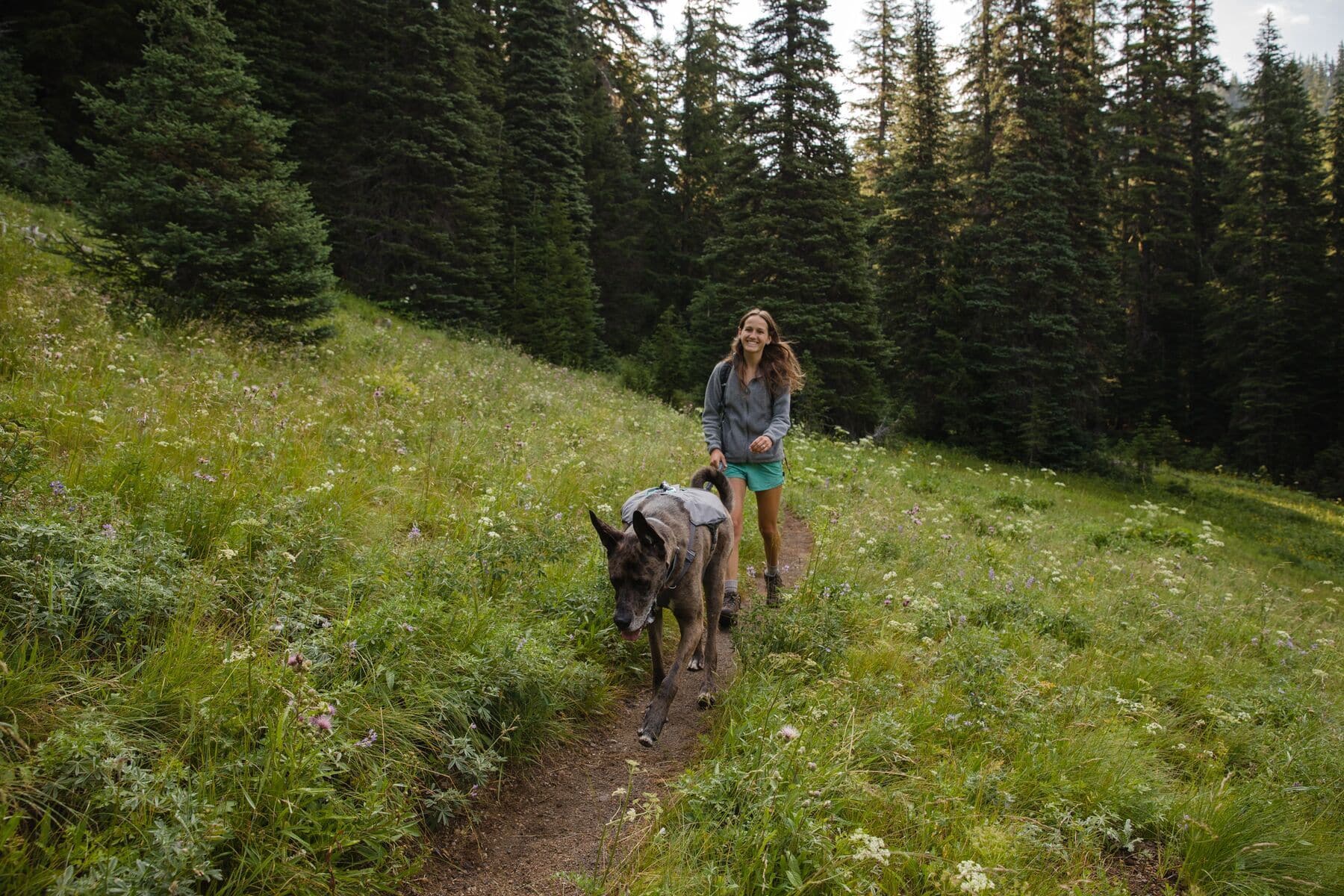 Imagen del producto 58