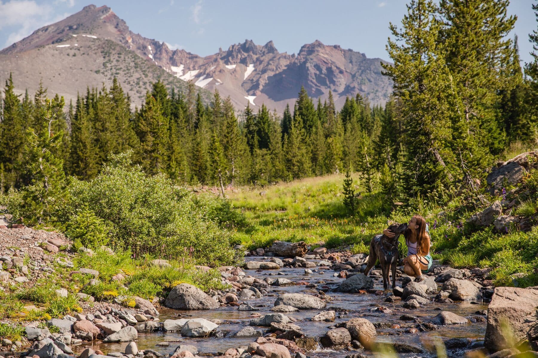 Imagen del producto 61